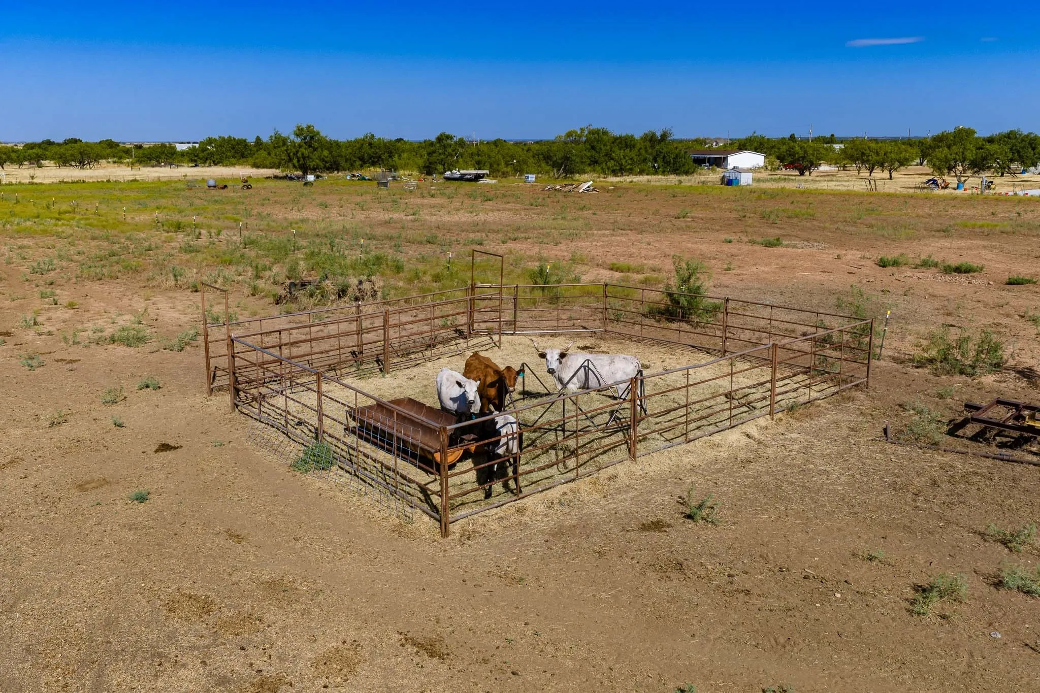 Farm For Sale in Jones County , 20767 CR 309, Abilene, Texas 79601, 3 Bedroom, 2 Bathroom, Garage spaces, 1,925 Sqft, built in 1977, mls#21362052, Real Estate Agent in Abilene, Homes For Sale in Jones county, Homes For Sale in Abilene, Realtor in Abilene Texas, Real Estate Brokerage Independent Realty Texas, Luminita Cordes Realtor