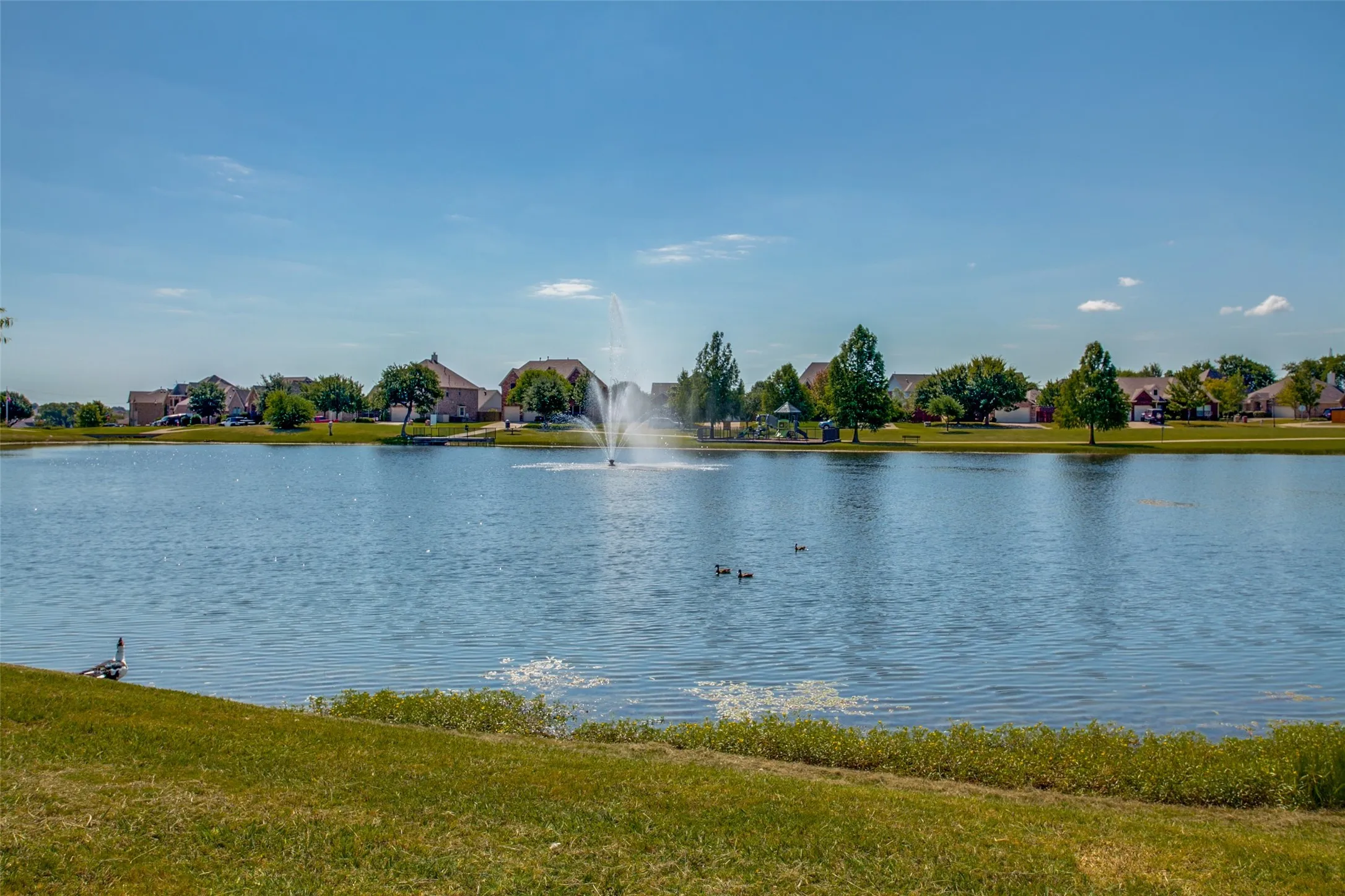 Single Family Residence For Sale in Collin County , 1715 Wildwood Lane, Wylie, Texas 75098, 4 Bedroom, 3 Bathroom, 2 Garage spaces, 2,581 Sqft, built in 2019, mls#21385408, Real Estate Agent in Wylie, Homes For Sale in Collin county, Homes For Sale in Wylie, Realtor in Wylie Texas, Real Estate Brokerage Independent Realty Texas, Luminita Cordes Realtor