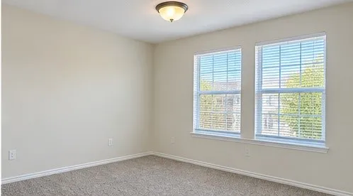 Neutral wall color, dual windows with blinds, flush mount ceiling light, and carpet flooring