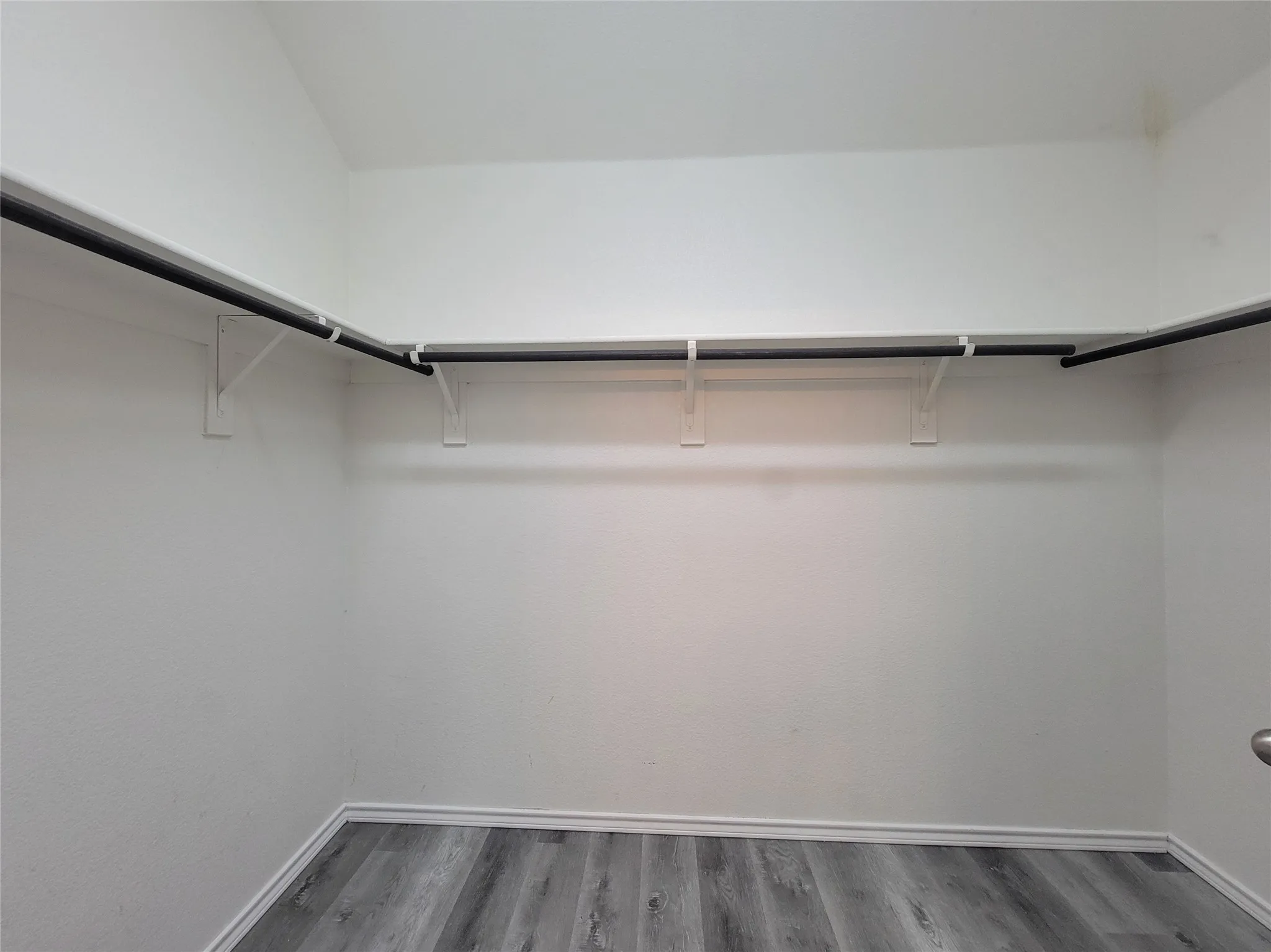 Walk-in closet with wood-finish flooring and built-in garment rods