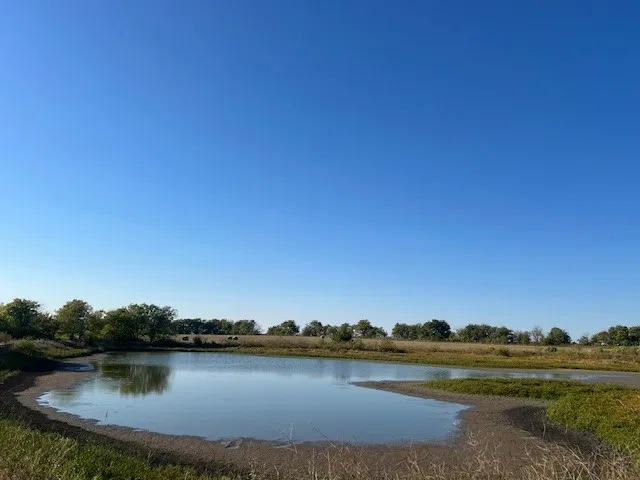 Farm For Sale in Delta County , 50 County Road 3400, Pecan Gap, Texas 75469, 2 Bedroom, 2 Bathroom, Garage spaces, 896 Sqft, built in 2009, mls#21384996, Real Estate Agent in Pecan Gap, Homes For Sale in Delta county, Homes For Sale in Pecan Gap, Realtor in Pecan Gap Texas, Real Estate Brokerage Independent Realty Texas, Luminita Cordes Realtor