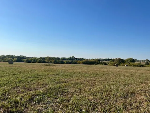 Ranch For Sale in Delta County , 50 CR 3400, Pecan Gap, Texas 75469, 0, 0, Garage spaces, 0 Sqft, built in 0, mls#21384995, Real Estate Agent in Pecan Gap, Homes For Sale in Delta county, Homes For Sale in Pecan Gap, Realtor in Pecan Gap Texas, Real Estate Brokerage Independent Realty Texas, Luminita Cordes Realtor
