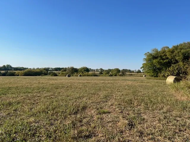 Ranch For Sale in Delta County , 50 CR 3400, Pecan Gap, Texas 75469, 0, 0, Garage spaces, 0 Sqft, built in 0, mls#21384995, Real Estate Agent in Pecan Gap, Homes For Sale in Delta county, Homes For Sale in Pecan Gap, Realtor in Pecan Gap Texas, Real Estate Brokerage Independent Realty Texas, Luminita Cordes Realtor