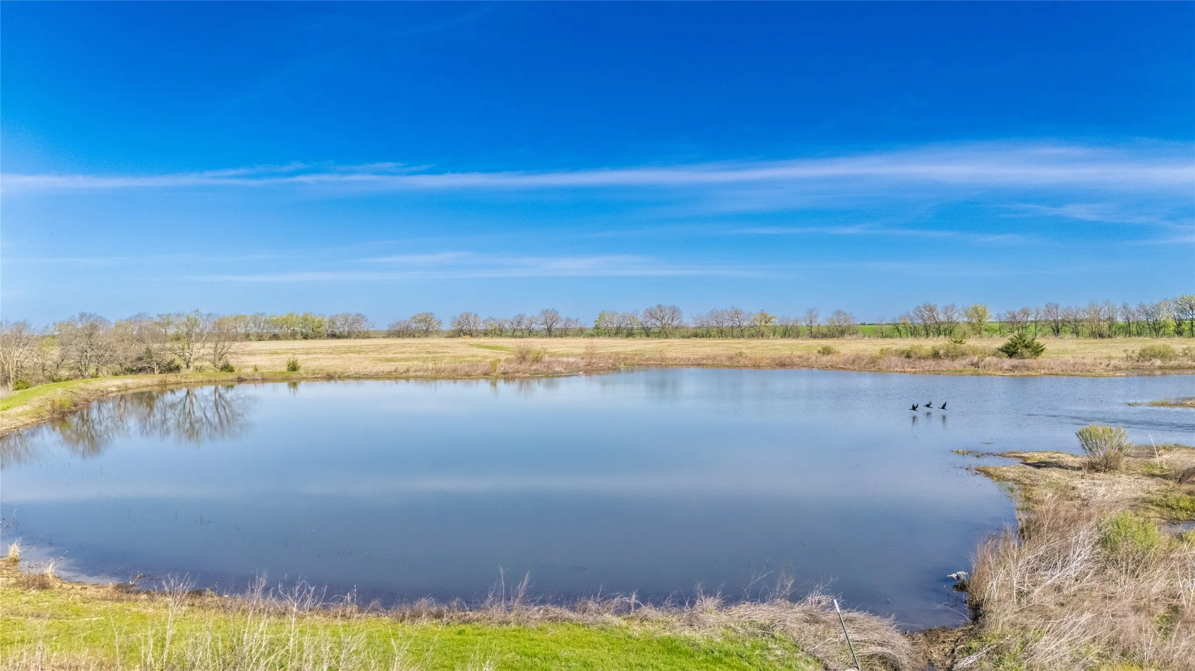 Ranch For Sale in Delta County , 50 CR 3400, Pecan Gap, Texas 75469, 0, 0, Garage spaces, 0 Sqft, built in 0, mls#21384995, Real Estate Agent in Pecan Gap, Homes For Sale in Delta county, Homes For Sale in Pecan Gap, Realtor in Pecan Gap Texas, Real Estate Brokerage Independent Realty Texas, Luminita Cordes Realtor
