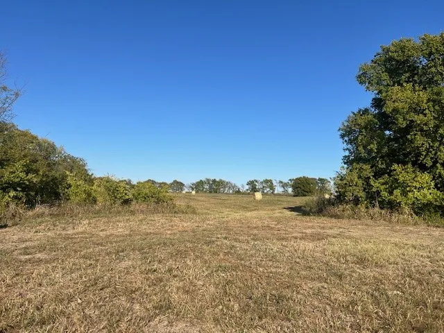 Ranch For Sale in Delta County , 50 CR 3400, Pecan Gap, Texas 75469, 0, 0, Garage spaces, 0 Sqft, built in 0, mls#21384995, Real Estate Agent in Pecan Gap, Homes For Sale in Delta county, Homes For Sale in Pecan Gap, Realtor in Pecan Gap Texas, Real Estate Brokerage Independent Realty Texas, Luminita Cordes Realtor