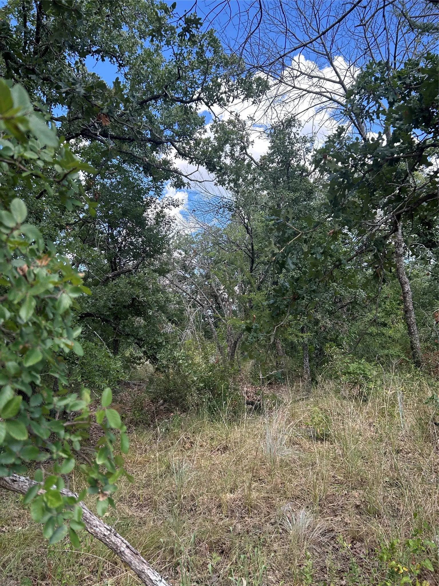 Unimproved Land For Sale in Wise County , 4 Haynie Drive, Runaway Bay, Texas 76426, 0, 0, Garage spaces, 0 Sqft, built in 0, mls#21385670, Real Estate Agent in Runaway Bay, Homes For Sale in Wise county, Homes For Sale in Runaway Bay, Realtor in Runaway Bay Texas, Real Estate Brokerage Independent Realty Texas, Luminita Cordes Realtor