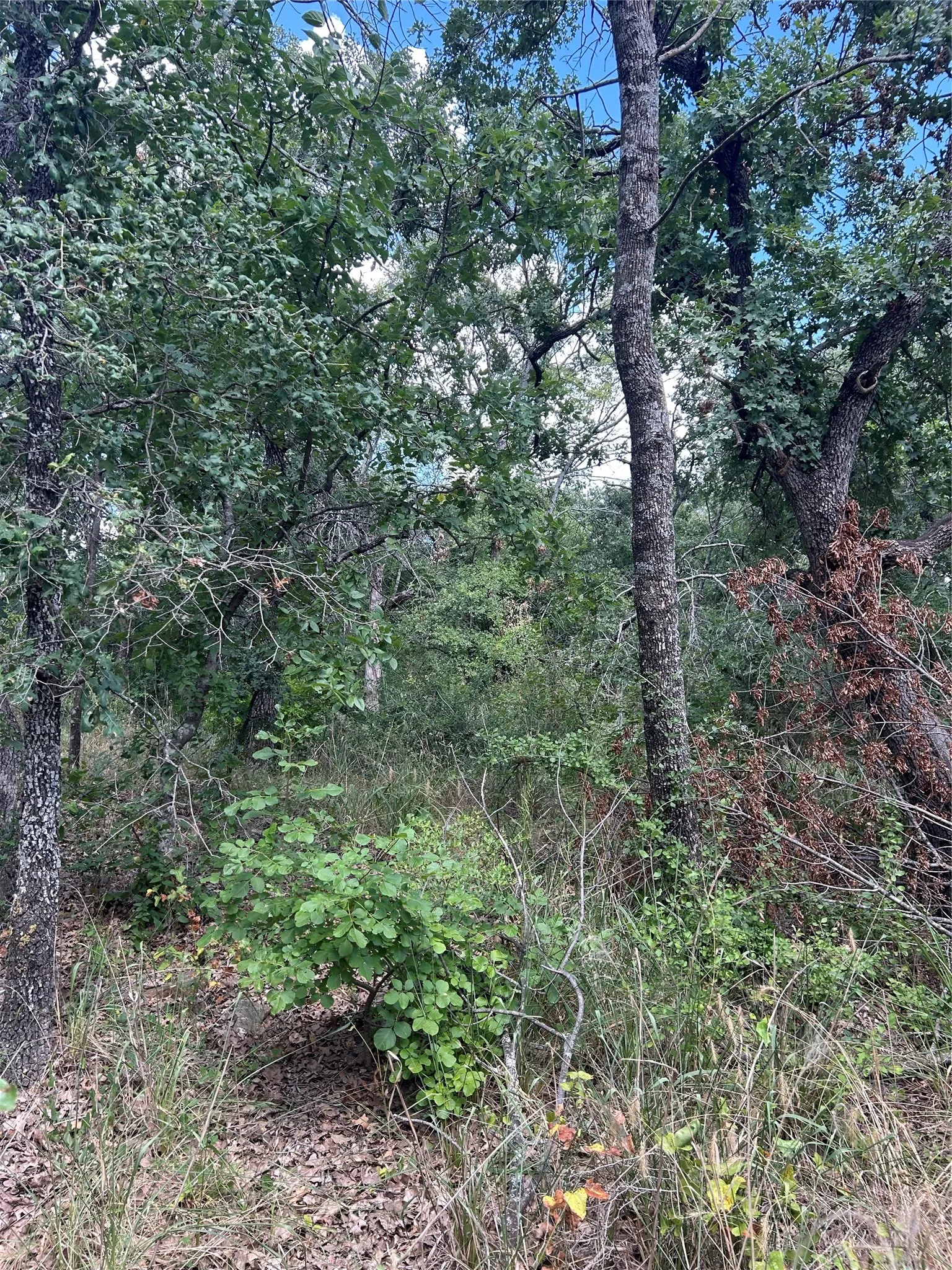Unimproved Land For Sale in Wise County , 4 Haynie Drive, Runaway Bay, Texas 76426, 0, 0, Garage spaces, 0 Sqft, built in 0, mls#21385670, Real Estate Agent in Runaway Bay, Homes For Sale in Wise county, Homes For Sale in Runaway Bay, Realtor in Runaway Bay Texas, Real Estate Brokerage Independent Realty Texas, Luminita Cordes Realtor