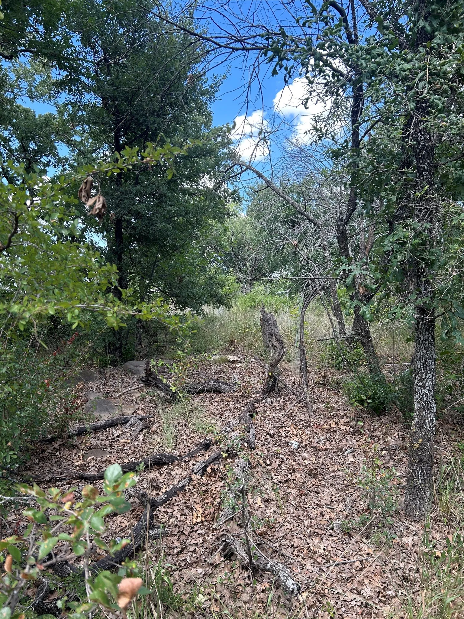 Unimproved Land For Sale in Wise County , 4 Haynie Drive, Runaway Bay, Texas 76426, 0, 0, Garage spaces, 0 Sqft, built in 0, mls#21385670, Real Estate Agent in Runaway Bay, Homes For Sale in Wise county, Homes For Sale in Runaway Bay, Realtor in Runaway Bay Texas, Real Estate Brokerage Independent Realty Texas, Luminita Cordes Realtor