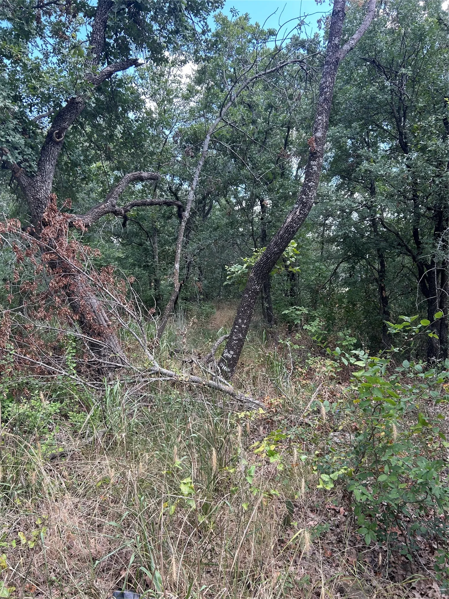 Unimproved Land For Sale in Wise County , 4 Haynie Drive, Runaway Bay, Texas 76426, 0, 0, Garage spaces, 0 Sqft, built in 0, mls#21385670, Real Estate Agent in Runaway Bay, Homes For Sale in Wise county, Homes For Sale in Runaway Bay, Realtor in Runaway Bay Texas, Real Estate Brokerage Independent Realty Texas, Luminita Cordes Realtor
