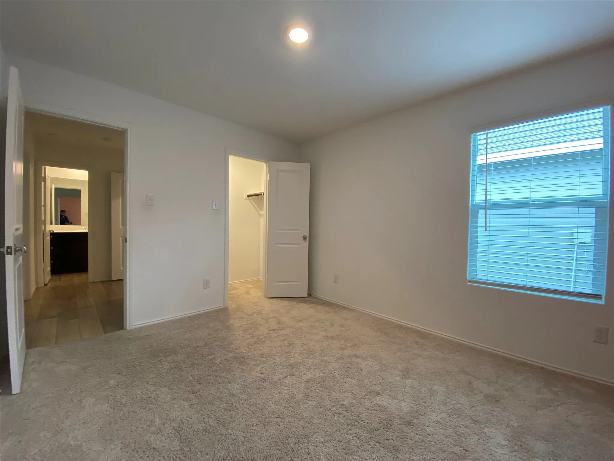 Unfurnished bedroom featuring multiple windows, a walk in closet, and carpet flooring