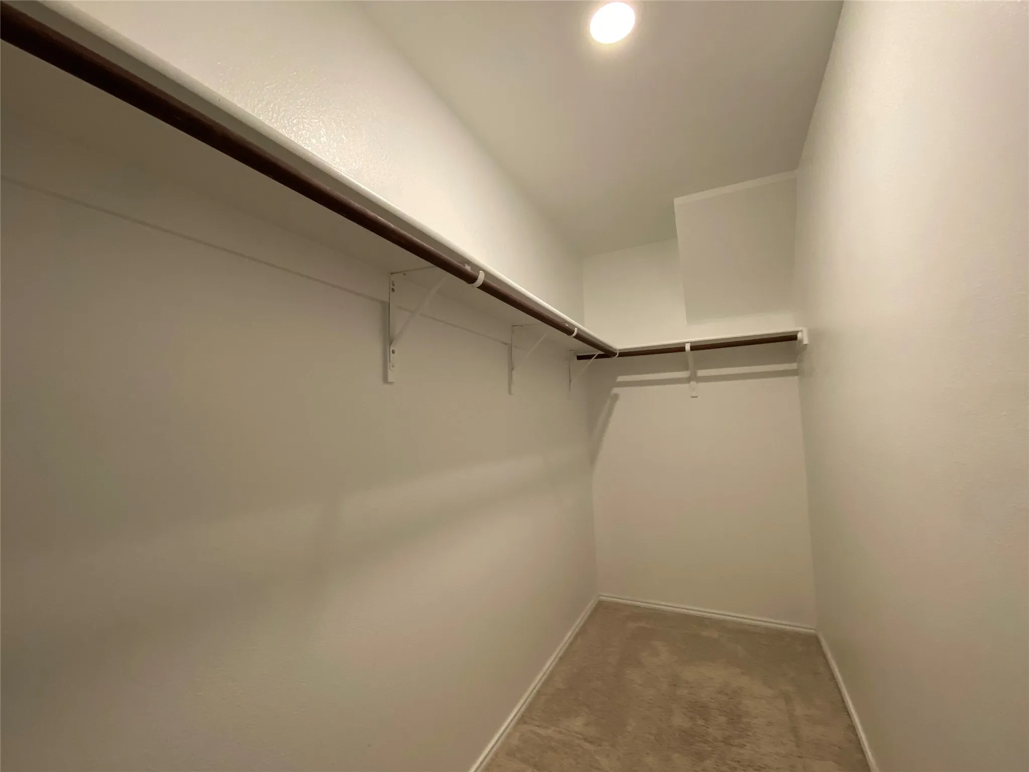 Walk in closet with light carpet