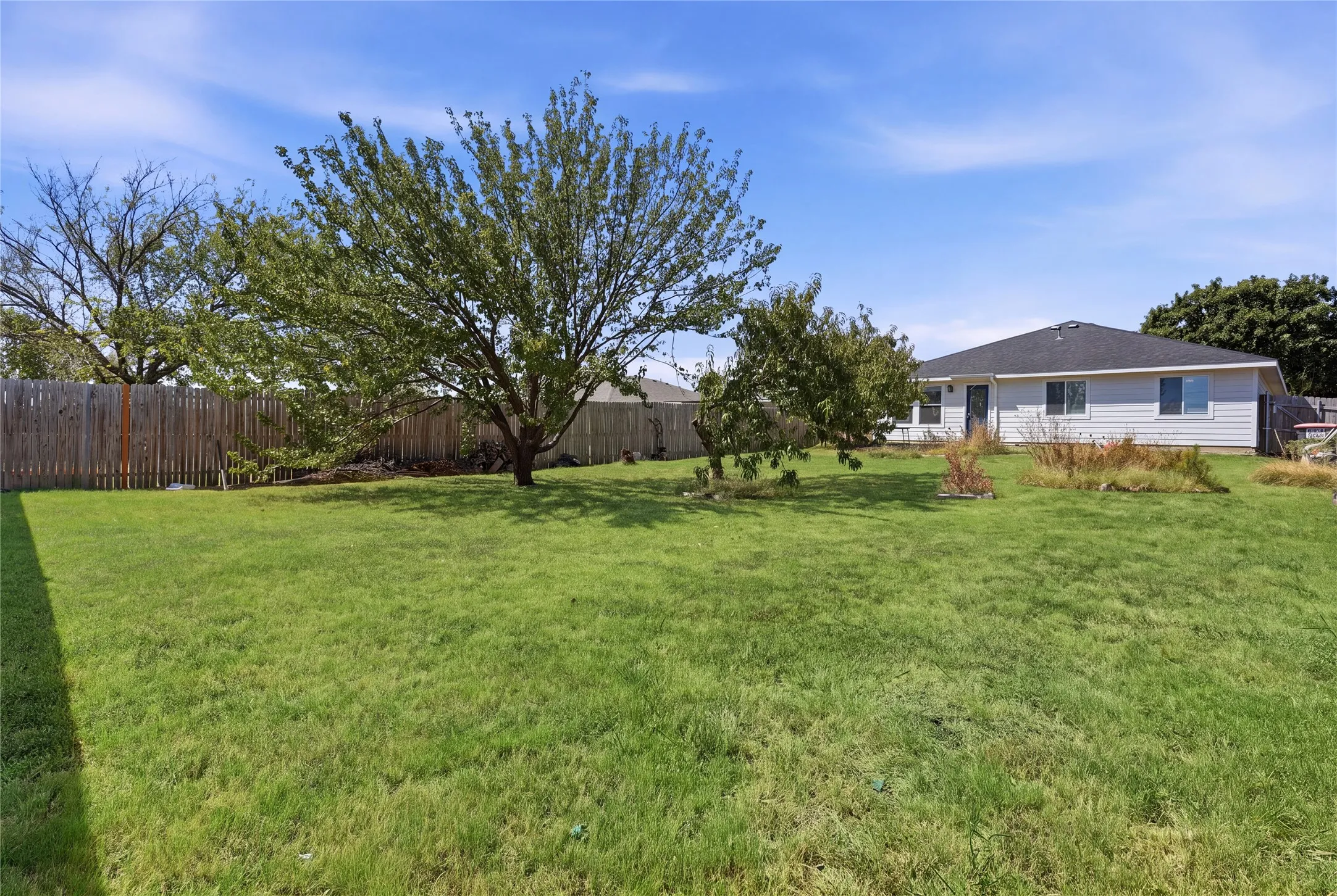 Expansive grassy lawn with mature trees and a wood privacy fence