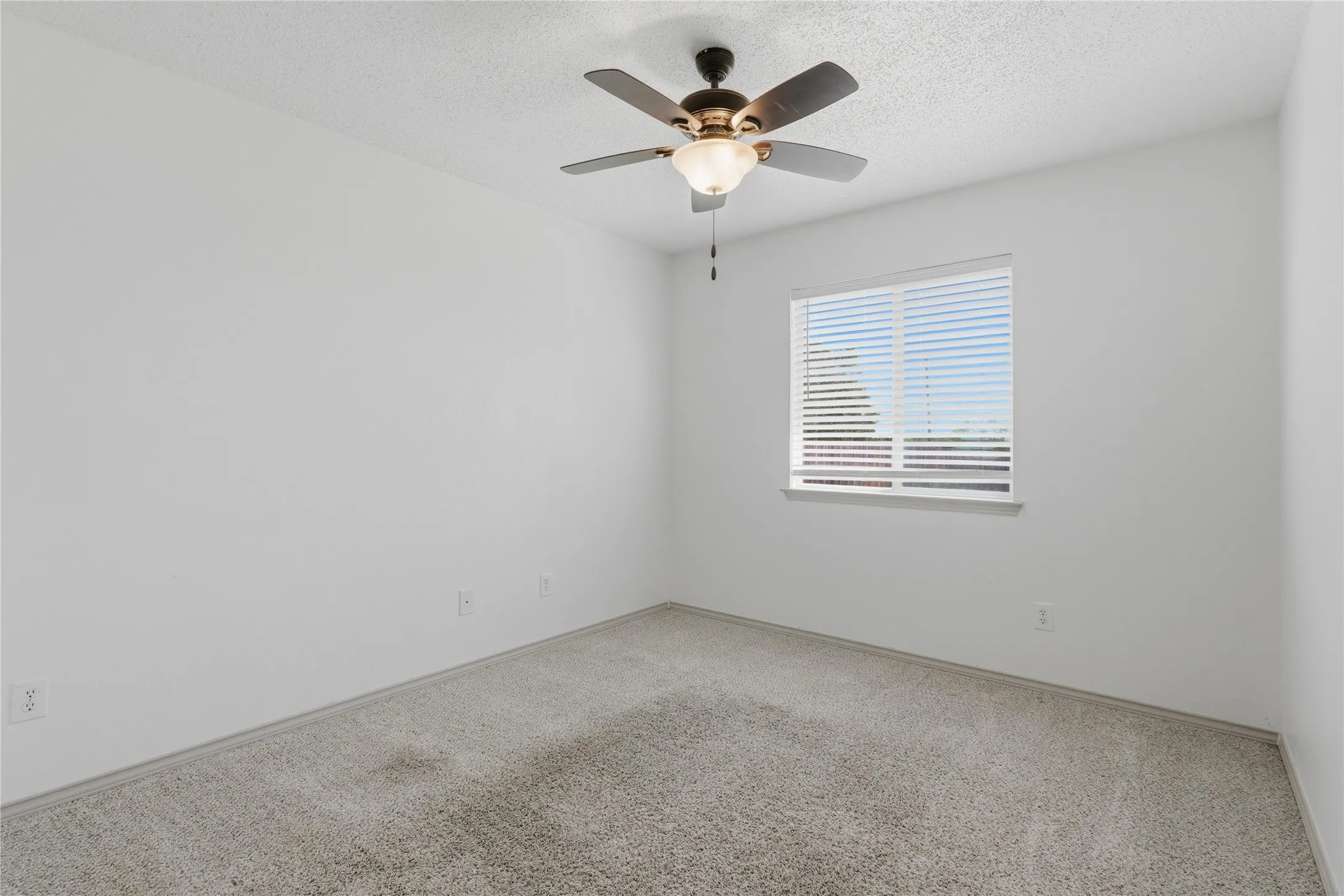 Neutral wall paint, ceiling fan with integrated lighting, window with horizontal blinds, and carpeting