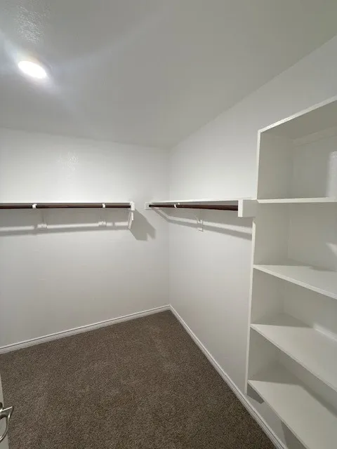 Single Family Residence For Rent in Collin County , 1217 Silent Peak Drive, Princeton, Texas 75407, 3 Bedroom, 2 Bathroom, 2 Garage spaces, 1,460 Sqft, built in 2026, mls#21385795, Real Estate Agent in Princeton, Homes For Rent in Collin county, Homes For Rent in Princeton, Realtor in Princeton Texas, Real Estate Brokerage Independent Realty Texas, Luminita Cordes Realtor