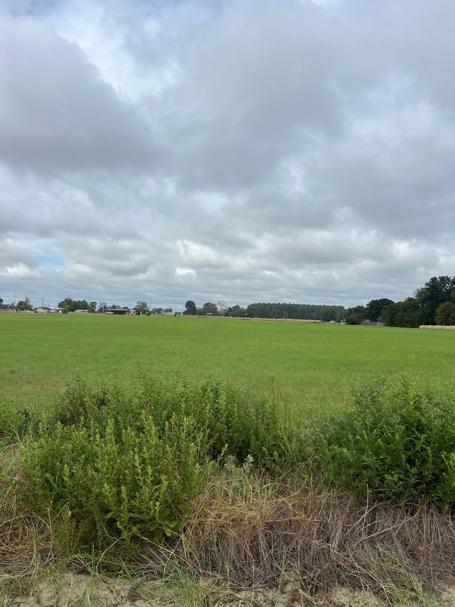 Unimproved Land For Sale in Smith County , 14018 COUNTY ROAD 4122, Lindale, Texas 75771, 0, 0, Garage spaces, 0 Sqft, built in 0, mls#21385803, Real Estate Agent in Lindale, Homes For Sale in Smith county, Homes For Sale in Lindale, Realtor in Lindale Texas, Real Estate Brokerage Independent Realty Texas, Luminita Cordes Realtor