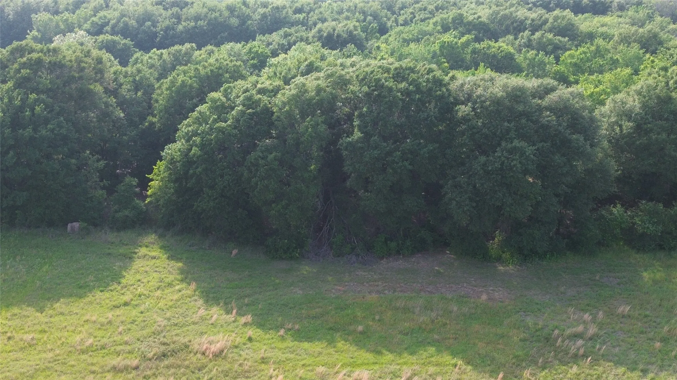 Unimproved Land For Sale in Kaufman County , LOT 5 County Road 4072, Kemp, Texas 75143, 0, 0, Garage spaces, 0 Sqft, built in 0, mls#21385829, Real Estate Agent in Kemp, Homes For Sale in Kaufman county, Homes For Sale in Kemp, Realtor in Kemp Texas, Real Estate Brokerage Independent Realty Texas, Luminita Cordes Realtor