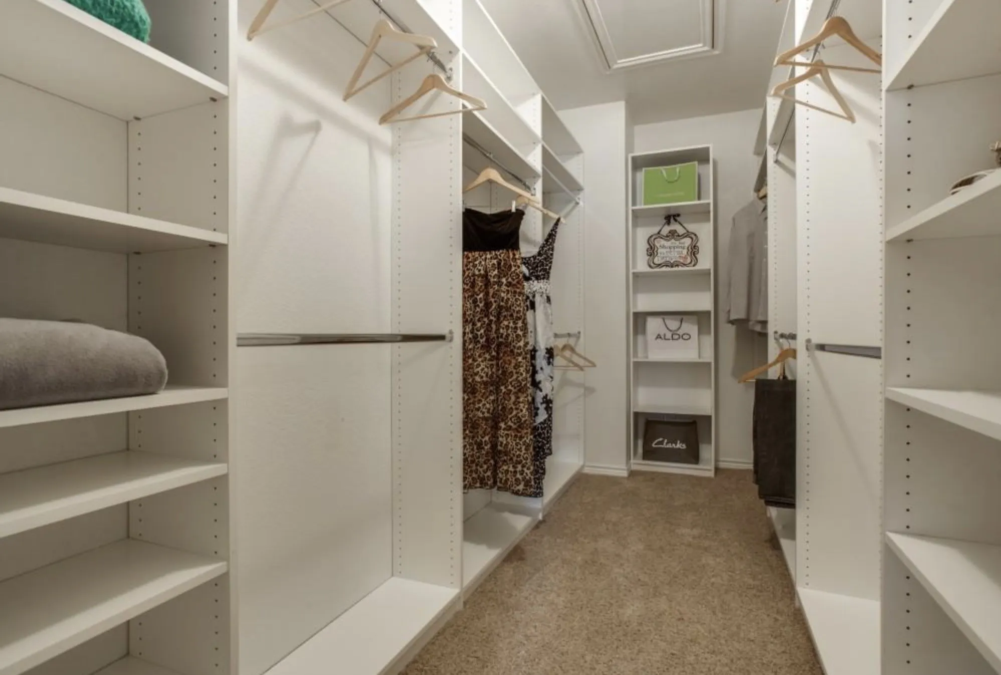 Walk-in closet featuring white shelving systems, multiple hanging rods, and carpet flooring
