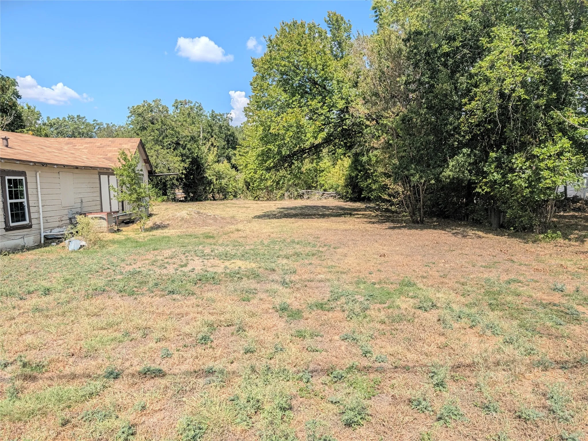 Expansive yard area with mature trees and a partial view of the property's exterior
