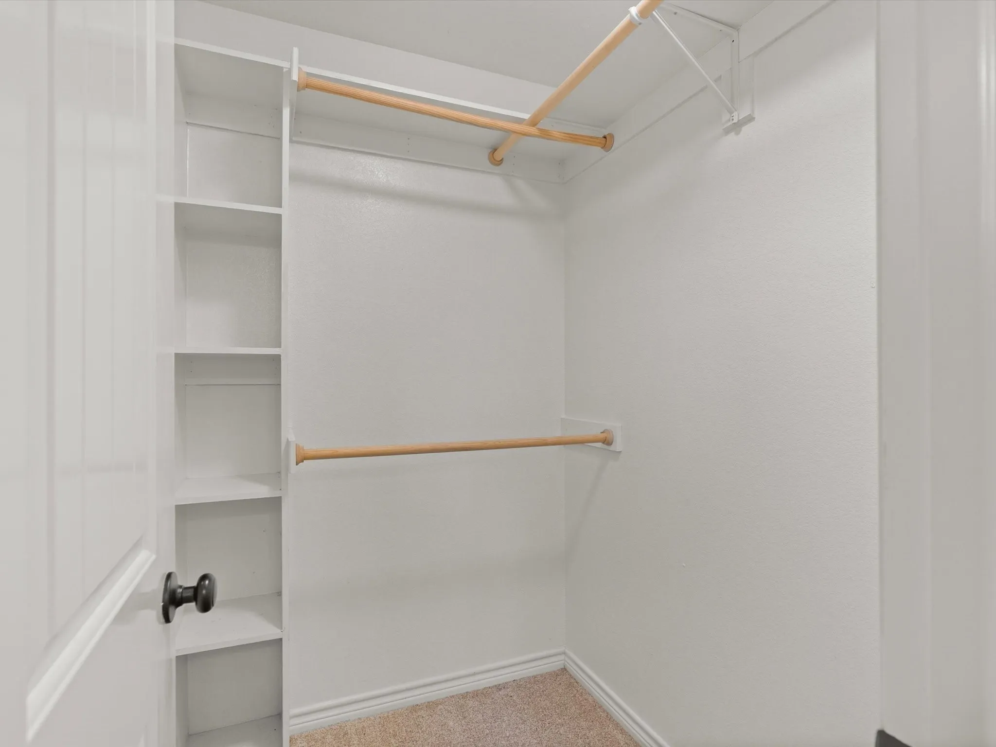 Walk-in closet featuring built-in shelving, dual hanging rods, and neutral-toned carpeting
