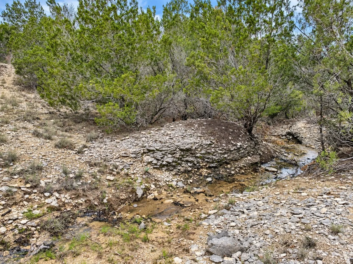 Seller picture of Seasonal Creek