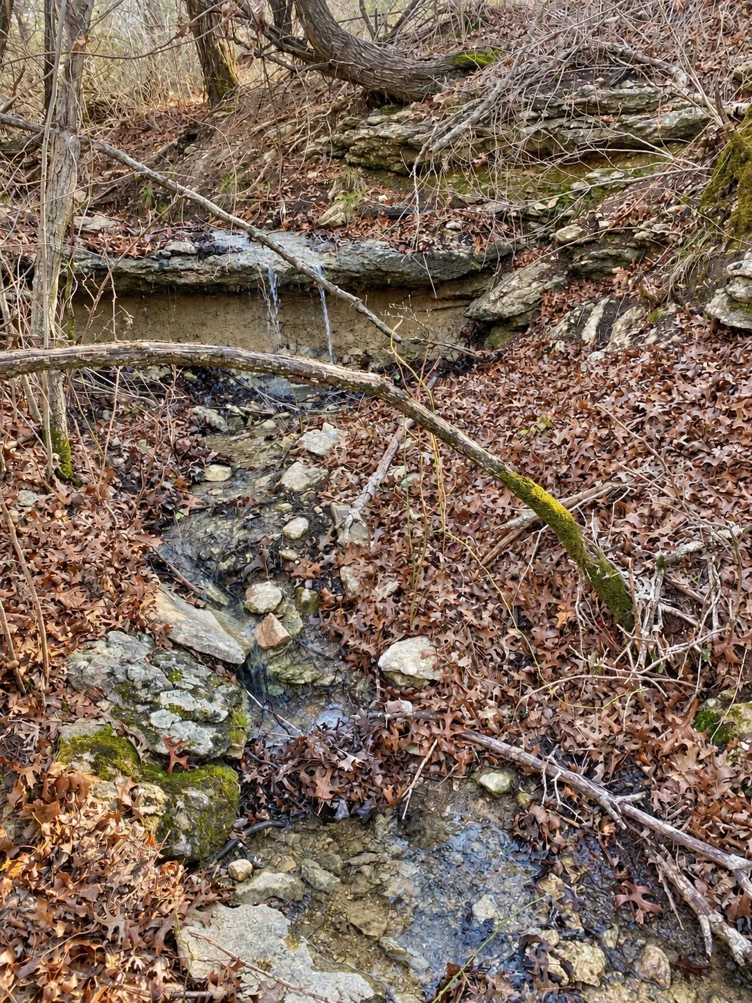 Seller picture of Seasonal Creek
