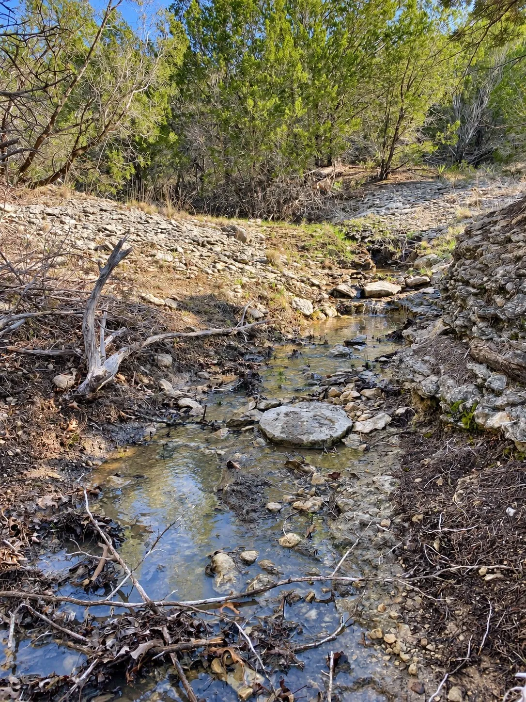 Seller picture of Seasonal Creek