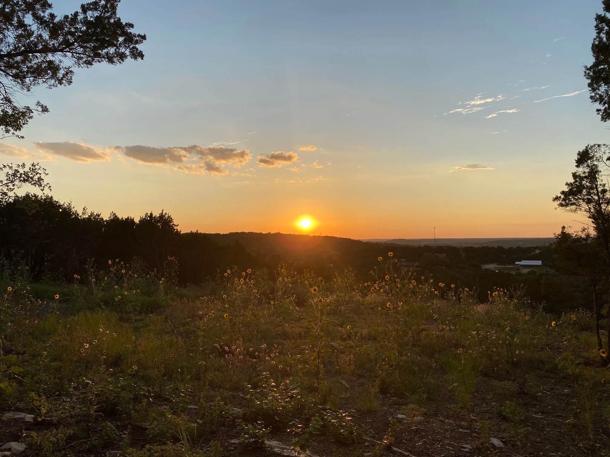 Seller picture of Sunset