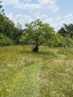 Improved Land For Sale in Dallas County , 4708 Pioneer Road, Balch Springs, Texas 75180, 0, 0, Garage spaces, 0 Sqft, built in 1955, mls#21385778, Real Estate Agent in Balch Springs, Homes For Sale in Dallas county, Homes For Sale in Balch Springs, Realtor in Balch Springs Texas, Real Estate Brokerage Independent Realty Texas, Luminita Cordes Realtor