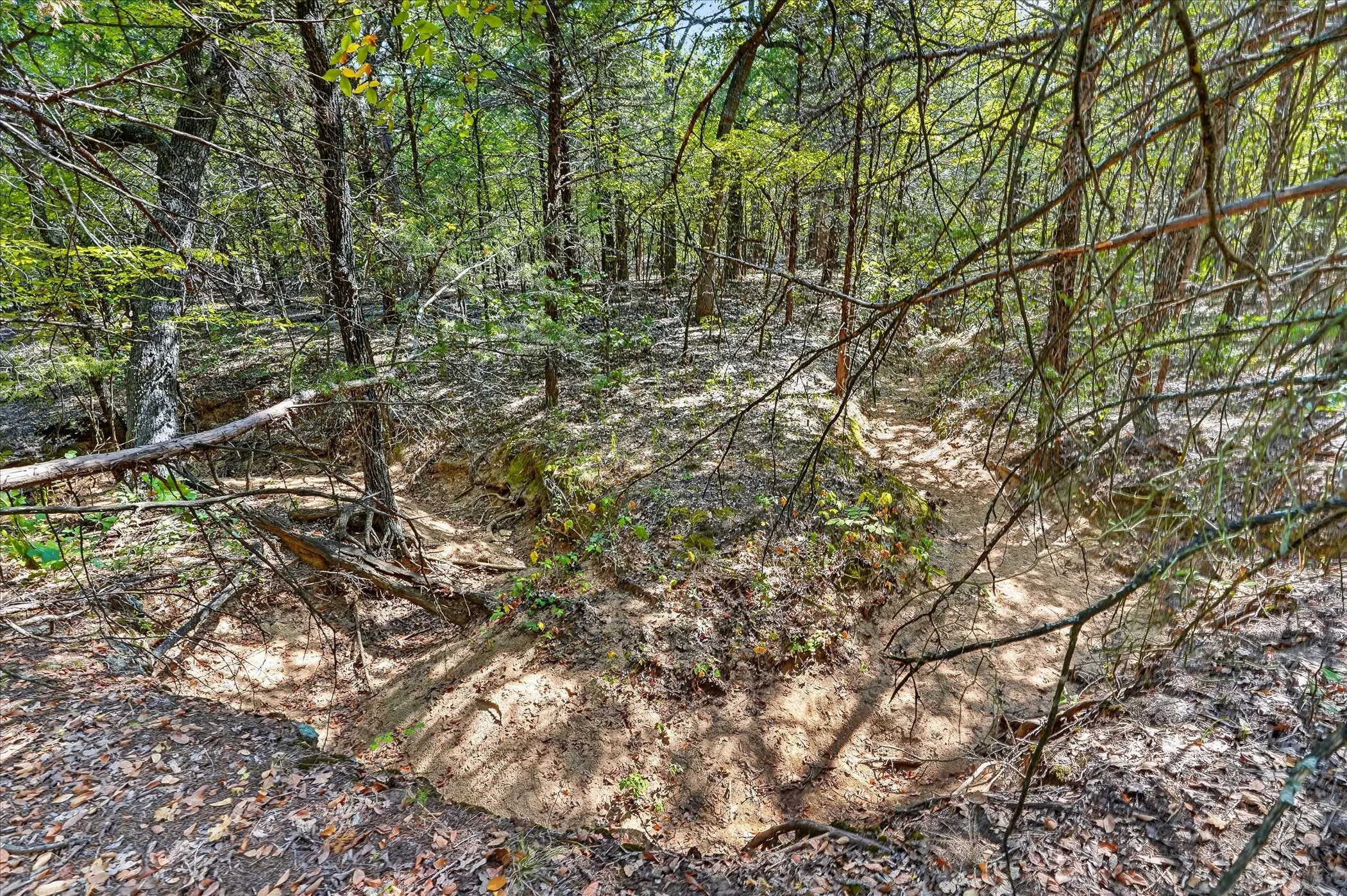 Unimproved Land For Sale in Cooke County , 1585 Jrc Road, Gainesville, Texas 76240, 0, 0, Garage spaces, 0 Sqft, built in 0, mls#21381034, Real Estate Agent in Gainesville, Homes For Sale in Cooke county, Homes For Sale in Gainesville, Realtor in Gainesville Texas, Real Estate Brokerage Independent Realty Texas, Luminita Cordes Realtor