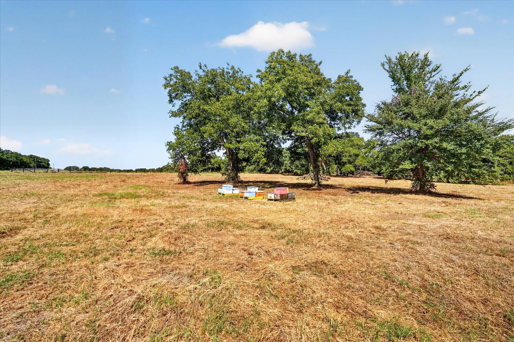 Unimproved Land For Sale in Cooke County , 1585 Jrc Road, Gainesville, Texas 76240, 0, 0, Garage spaces, 0 Sqft, built in 0, mls#21381034, Real Estate Agent in Gainesville, Homes For Sale in Cooke county, Homes For Sale in Gainesville, Realtor in Gainesville Texas, Real Estate Brokerage Independent Realty Texas, Luminita Cordes Realtor