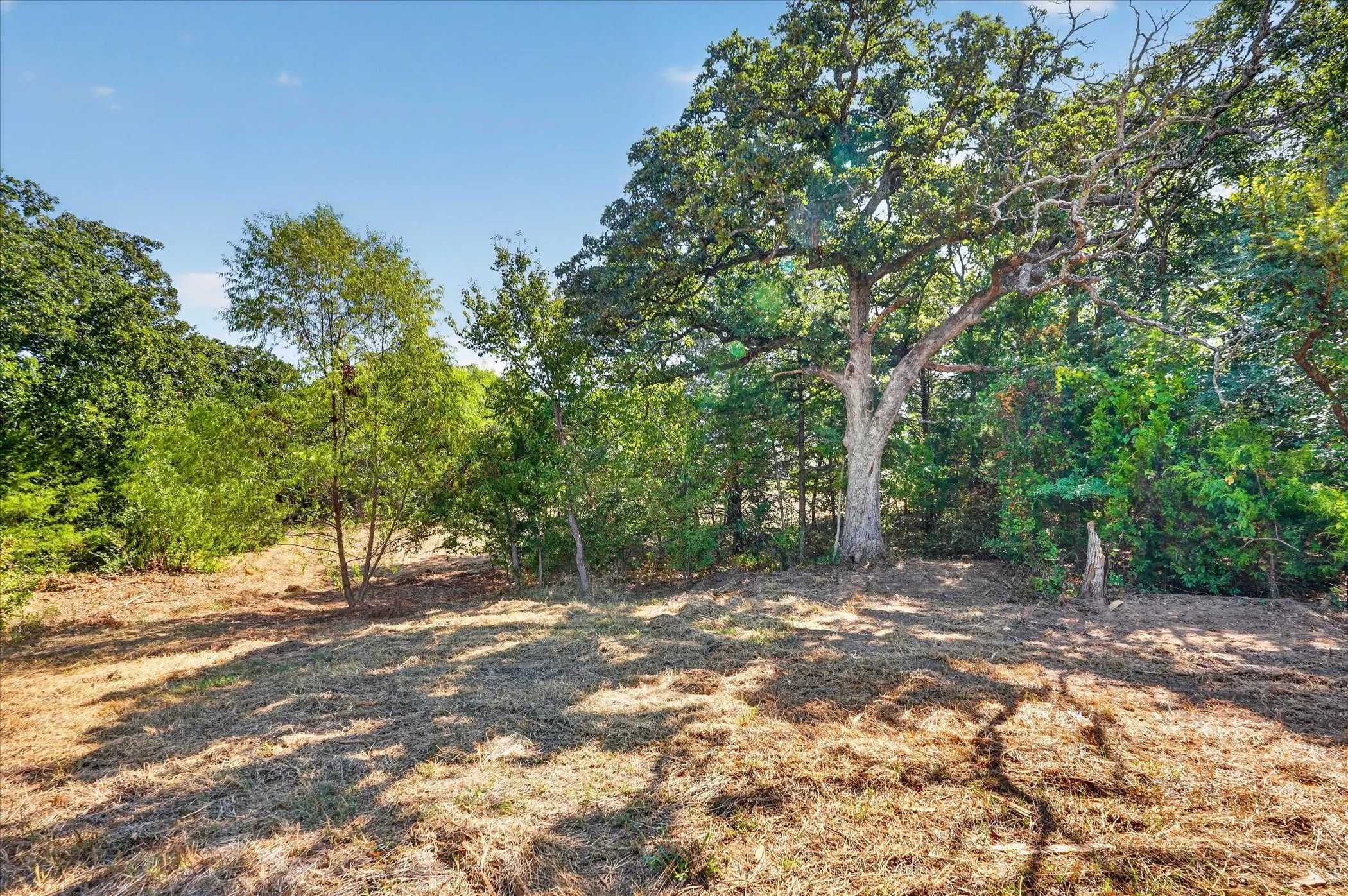 Unimproved Land For Sale in Cooke County , 1585 Jrc Road, Gainesville, Texas 76240, 0, 0, Garage spaces, 0 Sqft, built in 0, mls#21381034, Real Estate Agent in Gainesville, Homes For Sale in Cooke county, Homes For Sale in Gainesville, Realtor in Gainesville Texas, Real Estate Brokerage Independent Realty Texas, Luminita Cordes Realtor