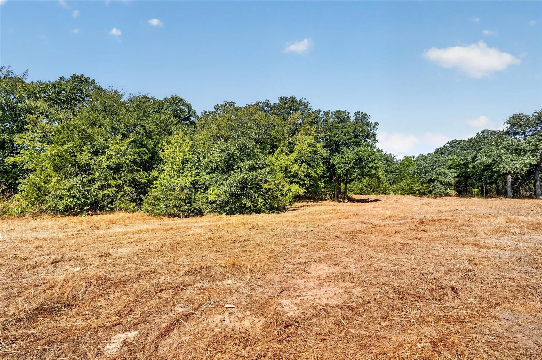 Unimproved Land For Sale in Cooke County , 1585 Jrc Road, Gainesville, Texas 76240, 0, 0, Garage spaces, 0 Sqft, built in 0, mls#21381034, Real Estate Agent in Gainesville, Homes For Sale in Cooke county, Homes For Sale in Gainesville, Realtor in Gainesville Texas, Real Estate Brokerage Independent Realty Texas, Luminita Cordes Realtor