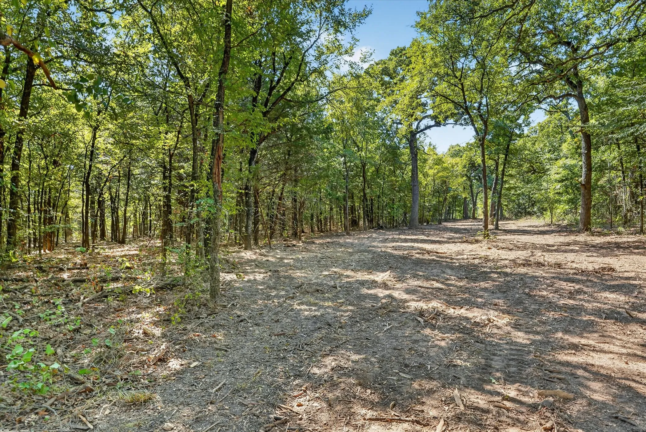 Unimproved Land For Sale in Cooke County , 1585 Jrc Road, Gainesville, Texas 76240, 0, 0, Garage spaces, 0 Sqft, built in 0, mls#21381034, Real Estate Agent in Gainesville, Homes For Sale in Cooke county, Homes For Sale in Gainesville, Realtor in Gainesville Texas, Real Estate Brokerage Independent Realty Texas, Luminita Cordes Realtor