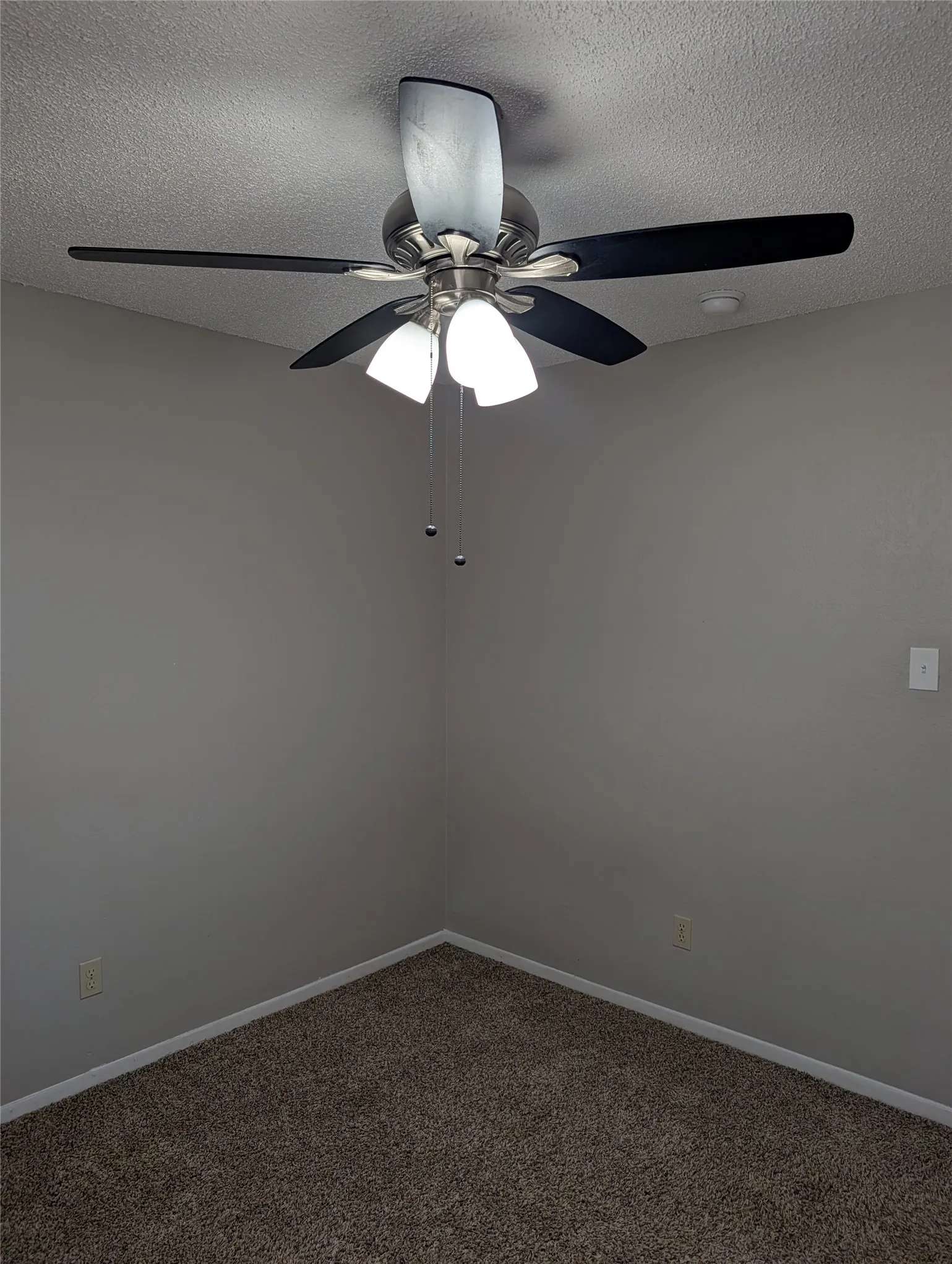Single Family Residence For Rent in Tarrant County , 7258 Church Park Drive, Fort Worth, Texas 76133, 3 Bedroom, 2 Bathroom, 2 Garage spaces, 1,435 Sqft, built in 1978, mls#21385908, Real Estate Agent in Fort Worth, Homes For Rent in Tarrant county, Homes For Rent in Fort Worth, Realtor in Fort Worth Texas, Real Estate Brokerage Independent Realty Texas, Luminita Cordes Realtor