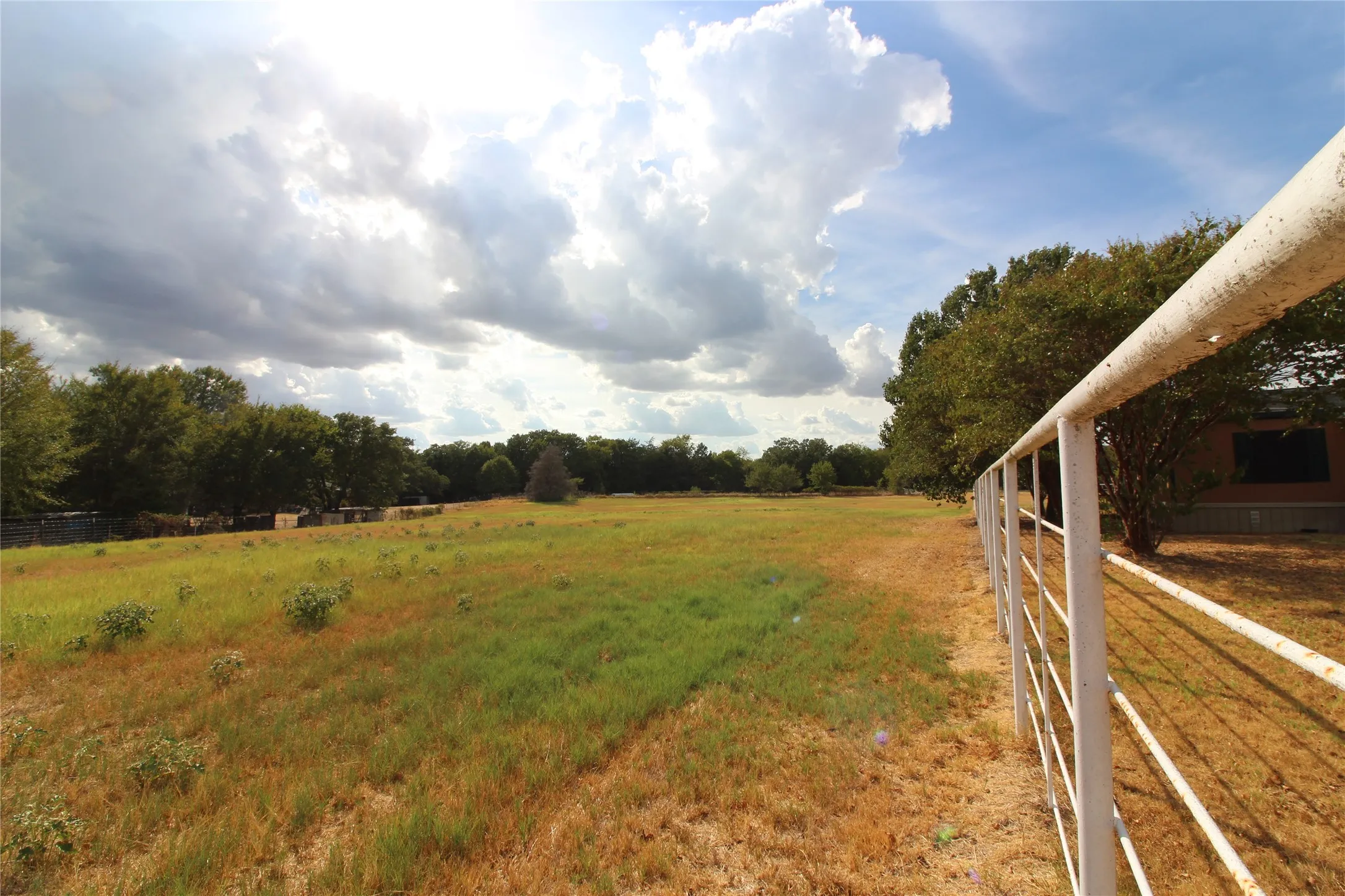 Expansive open field with scattered green and golden grasses, bordered by mature trees and a white metal fence