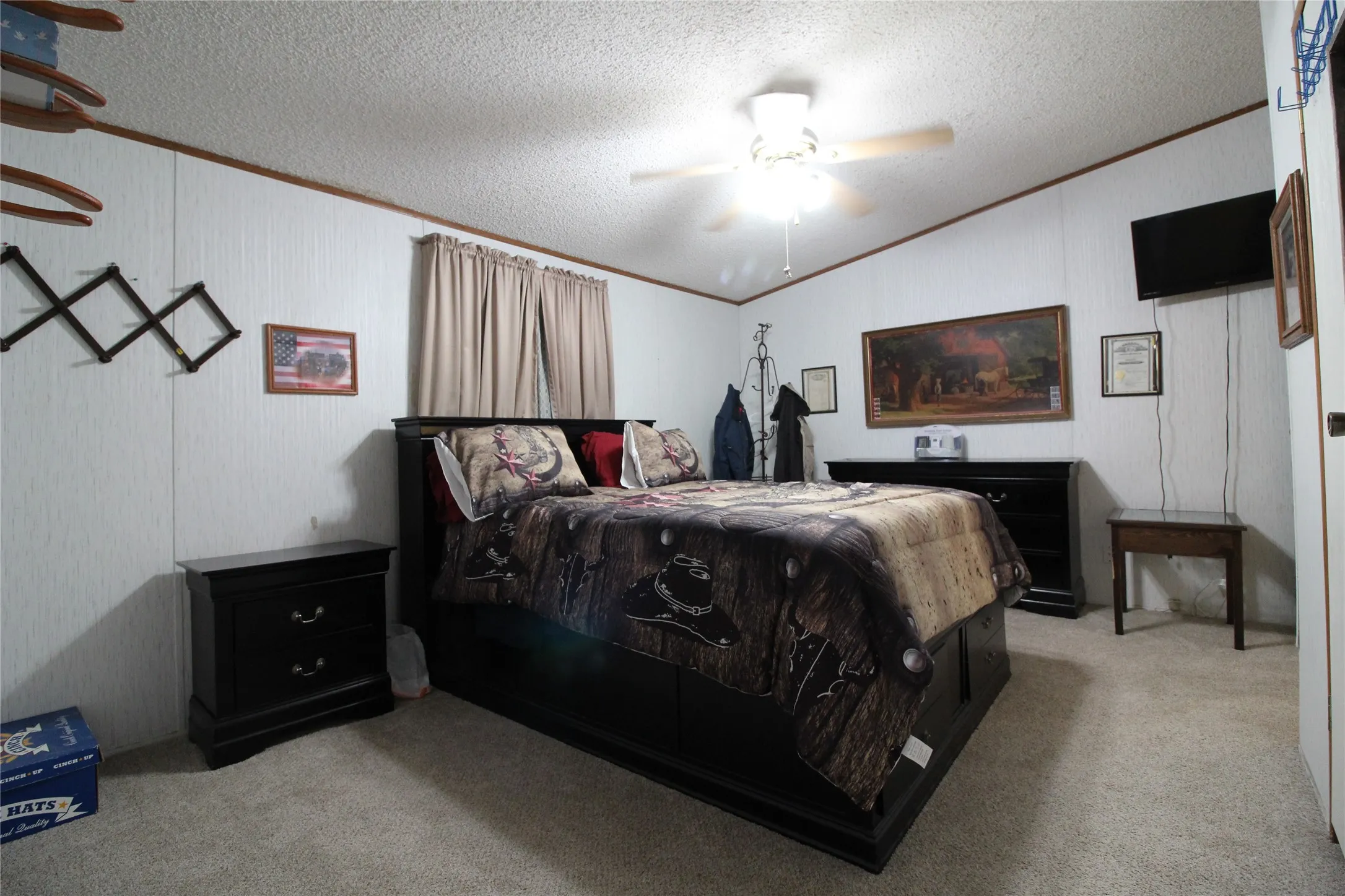Carpeted room featuring a ceiling fan, wall-mounted television, window with drapes, and paneled walls with wood trim