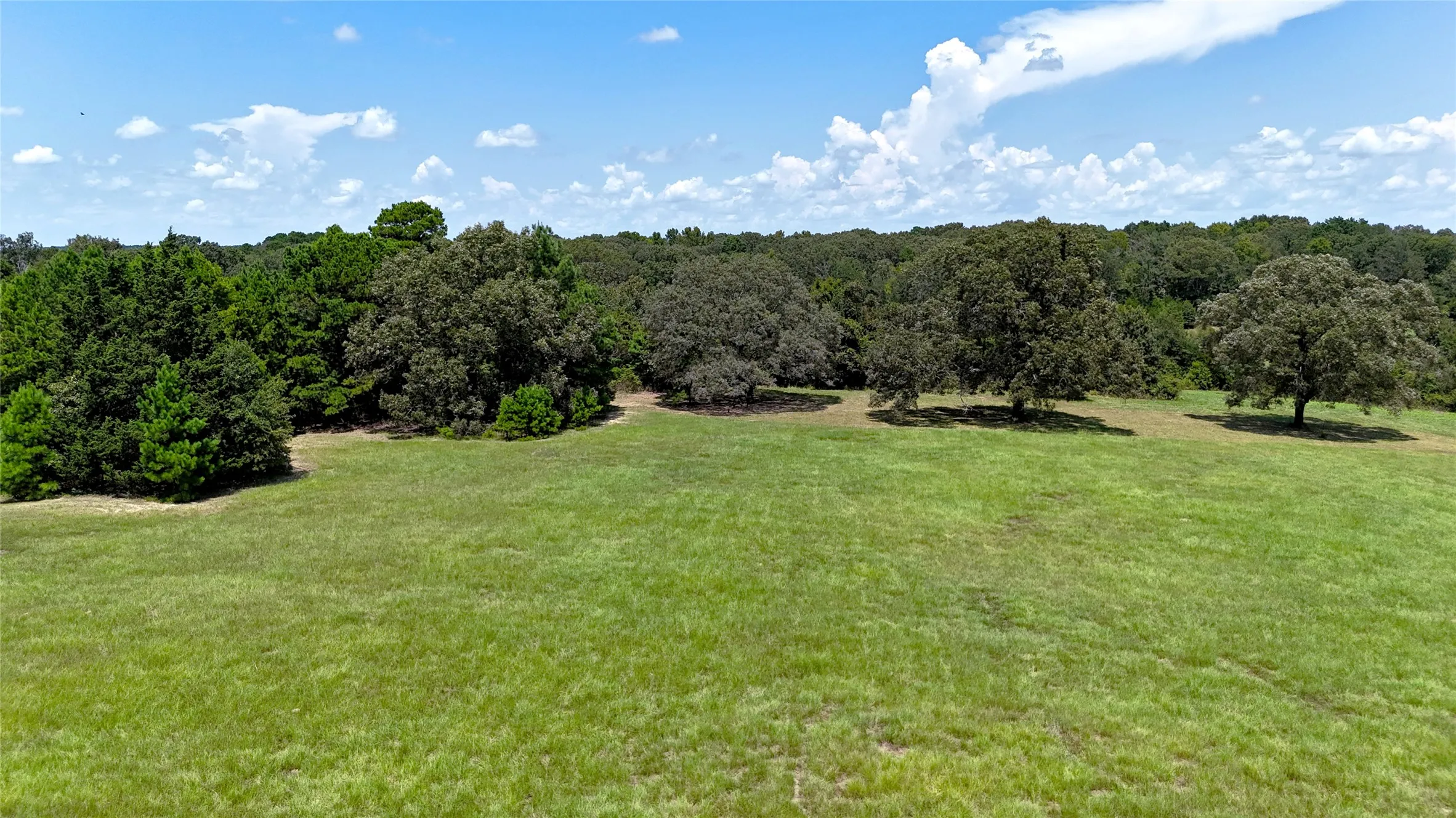 Unimproved Land For Sale in Henderson County , TBD Lee Drive, Murchison, Texas 75778, 0, 0, Garage spaces, 0 Sqft, built in 2018, mls#21385961, Real Estate Agent in Murchison, Homes For Sale in Henderson county, Homes For Sale in Murchison, Realtor in Murchison Texas, Real Estate Brokerage Independent Realty Texas, Luminita Cordes Realtor