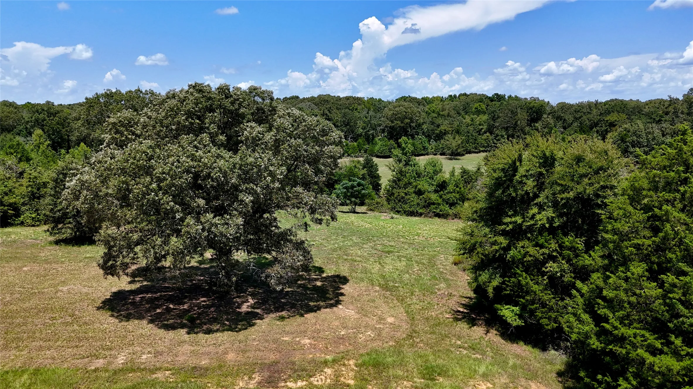 Unimproved Land For Sale in Henderson County , TBD Lee Drive, Murchison, Texas 75778, 0, 0, Garage spaces, 0 Sqft, built in 2018, mls#21385961, Real Estate Agent in Murchison, Homes For Sale in Henderson county, Homes For Sale in Murchison, Realtor in Murchison Texas, Real Estate Brokerage Independent Realty Texas, Luminita Cordes Realtor