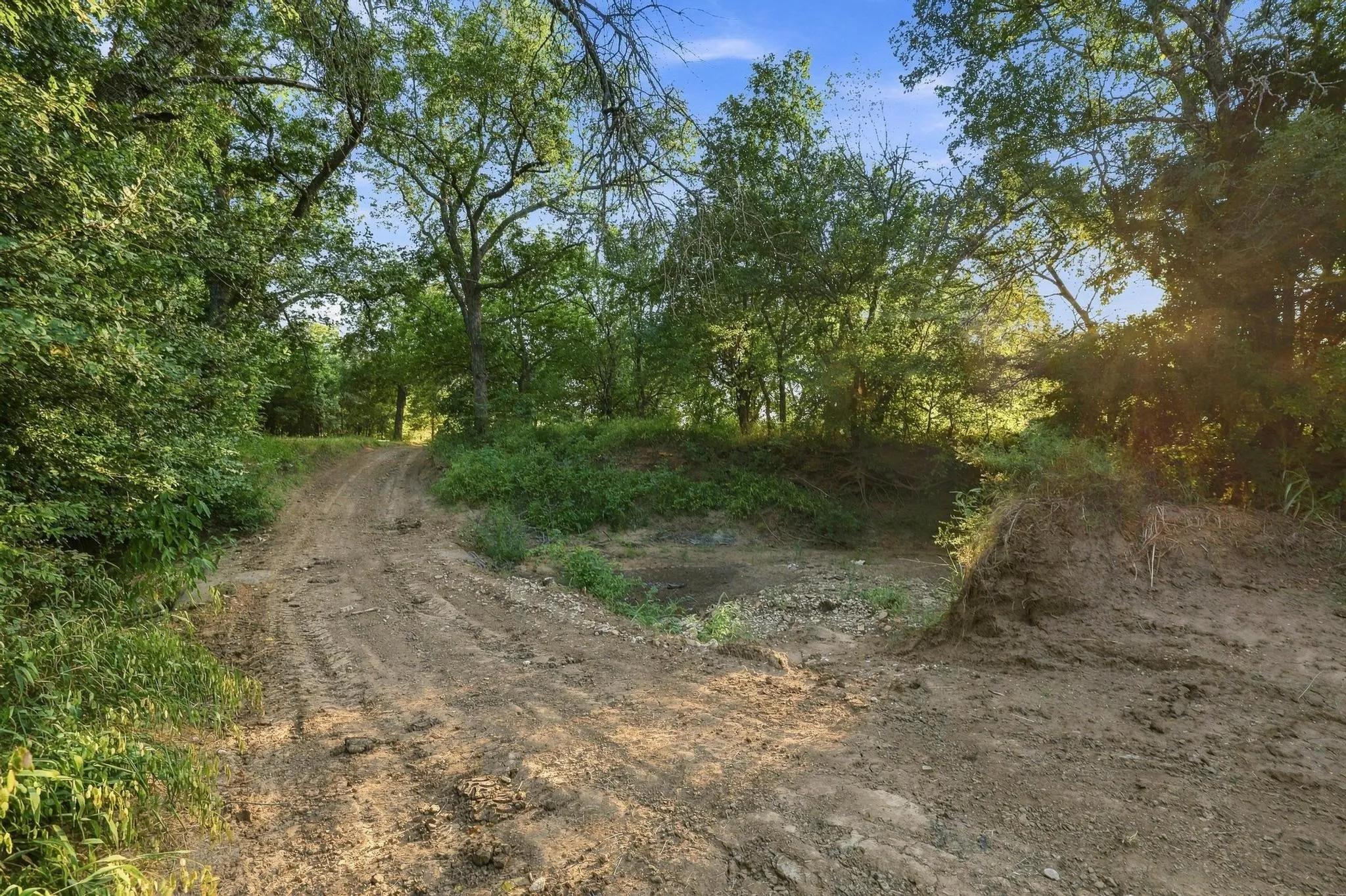 Farm For Sale in Grayson County , 3303 & 3407 Gage Road, Sherman, Texas 75092, 3 Bedroom, 3 Bathroom, 2 Garage spaces, 1,750 Sqft, built in 2015, mls#21364227, Real Estate Agent in Sherman, Homes For Sale in Grayson county, Homes For Sale in Sherman, Realtor in Sherman Texas, Real Estate Brokerage Independent Realty Texas, Luminita Cordes Realtor