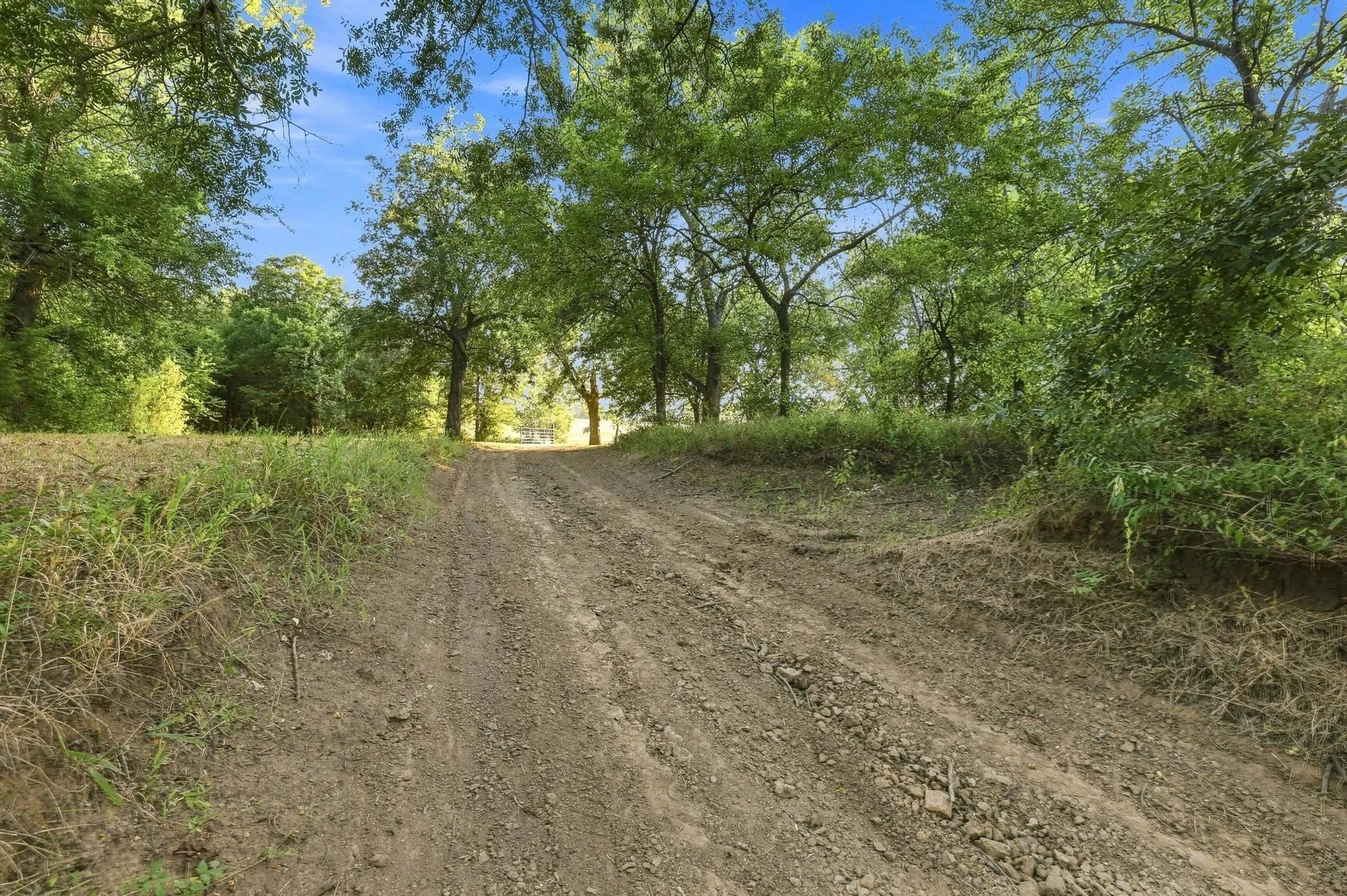 Farm For Sale in Grayson County , 3303 & 3407 Gage Road, Sherman, Texas 75092, 3 Bedroom, 3 Bathroom, 2 Garage spaces, 1,750 Sqft, built in 2015, mls#21364227, Real Estate Agent in Sherman, Homes For Sale in Grayson county, Homes For Sale in Sherman, Realtor in Sherman Texas, Real Estate Brokerage Independent Realty Texas, Luminita Cordes Realtor