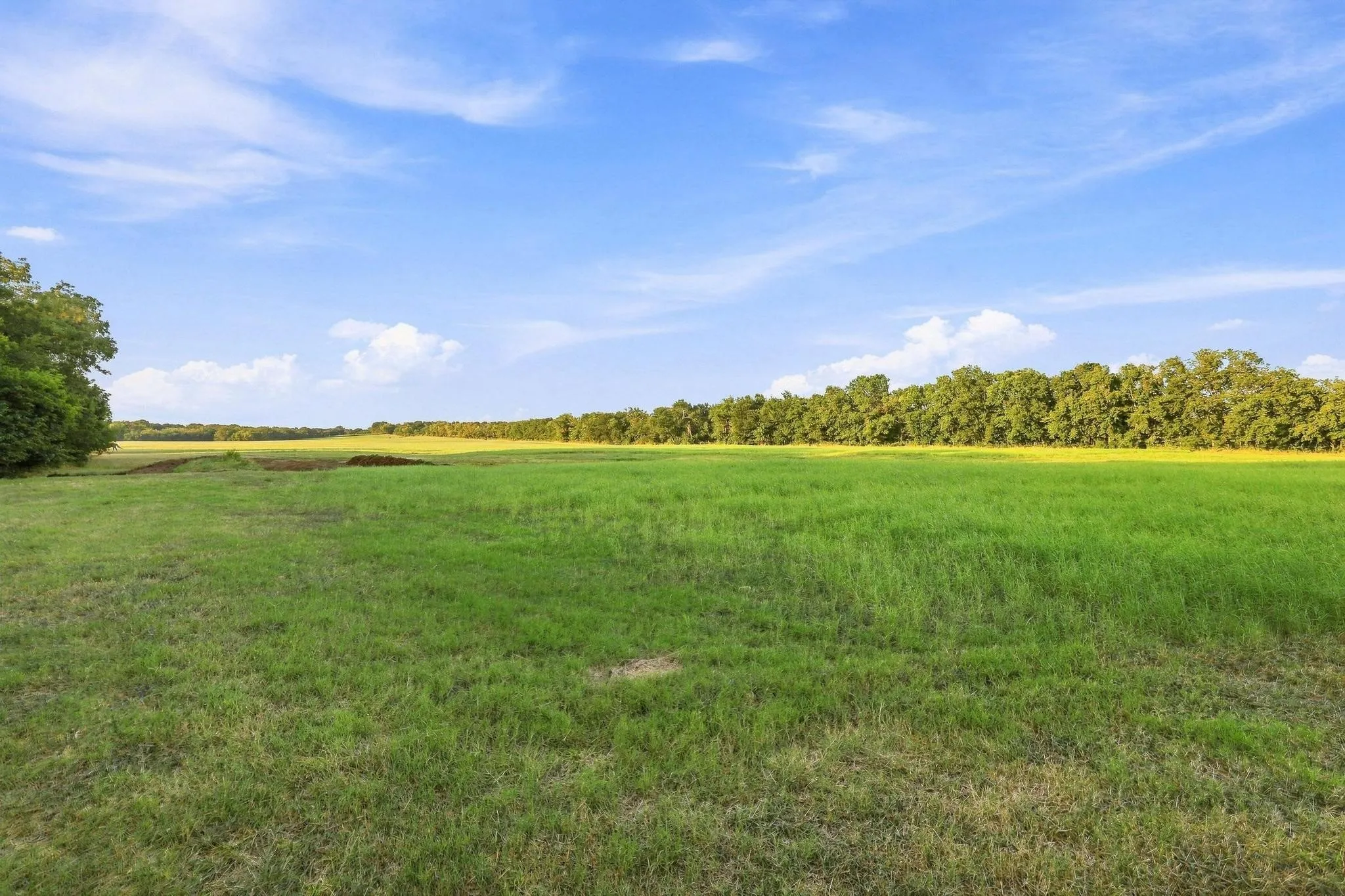 Farm For Sale in Grayson County , 3303 & 3407 Gage Road, Sherman, Texas 75092, 3 Bedroom, 3 Bathroom, 2 Garage spaces, 1,750 Sqft, built in 2015, mls#21364227, Real Estate Agent in Sherman, Homes For Sale in Grayson county, Homes For Sale in Sherman, Realtor in Sherman Texas, Real Estate Brokerage Independent Realty Texas, Luminita Cordes Realtor