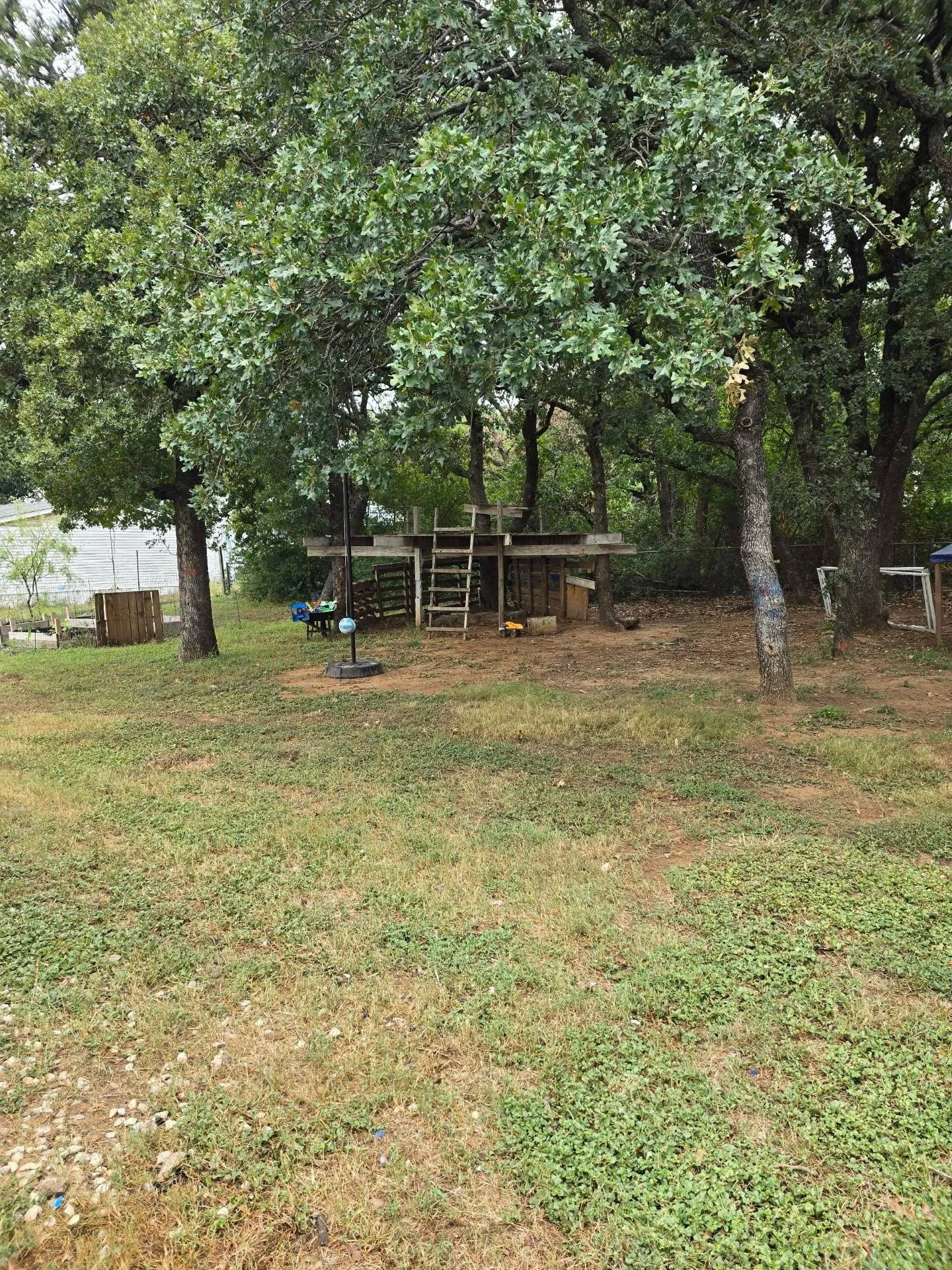 Expansive yard with mature trees and a built-in wooden structure