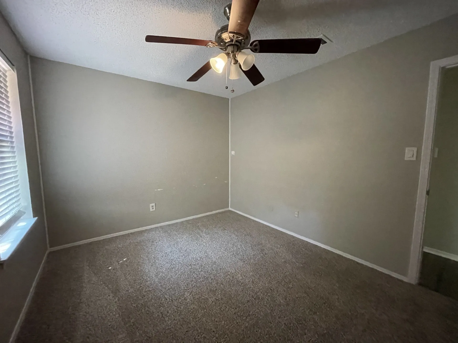 Textured ceiling with a ceiling fan, neutral wall tones, and carpet flooring