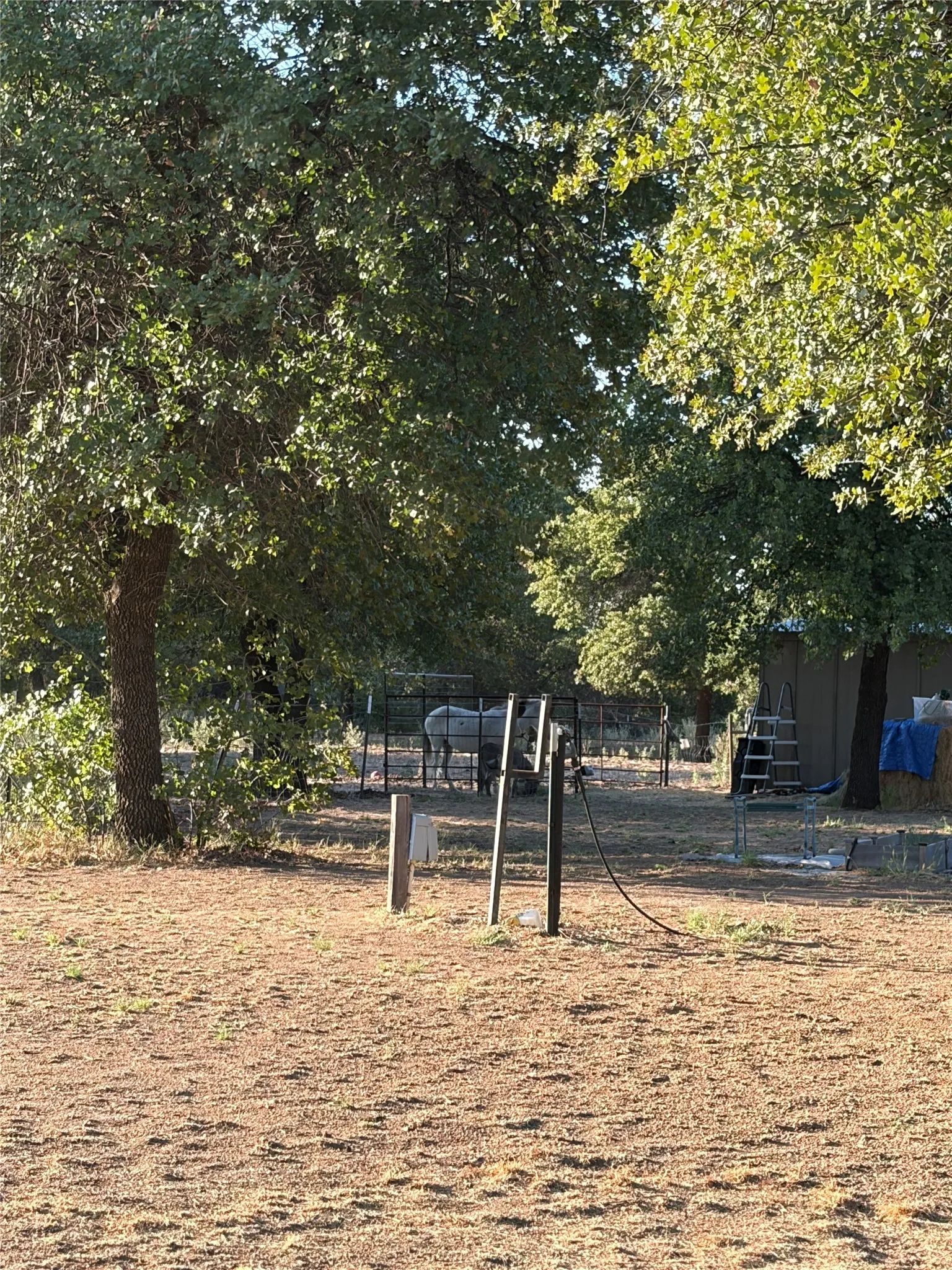 RV hookup; south of carport