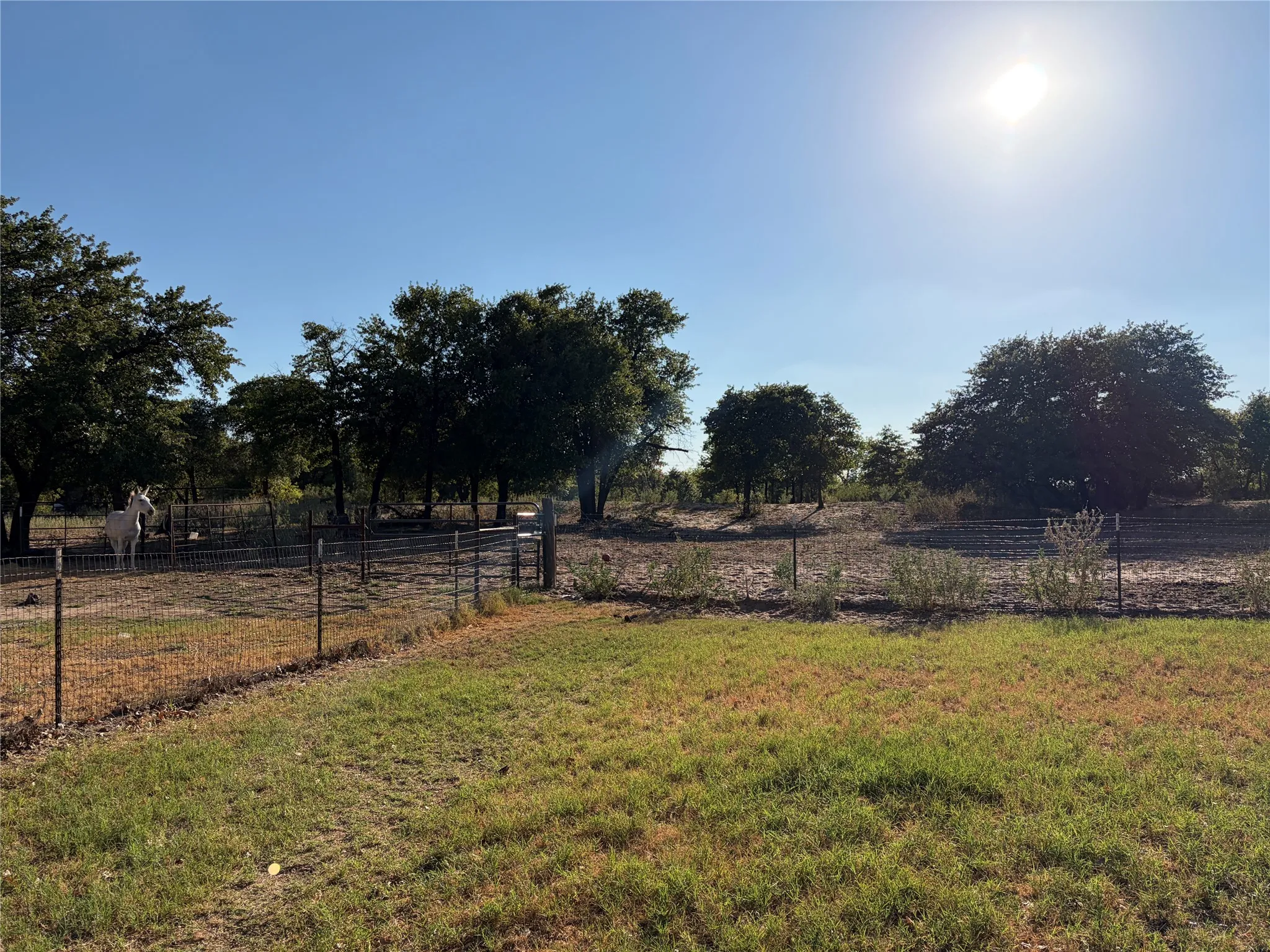 Mobile Home For Sale in Jones County , 2120 PR 342, Hawley, Texas 79525, 2 Bedroom, 2 Bathroom, Garage spaces, 1,670 Sqft, built in 2008, mls#21385935, Real Estate Agent in Hawley, Homes For Sale in Jones county, Homes For Sale in Hawley, Realtor in Hawley Texas, Real Estate Brokerage Independent Realty Texas, Luminita Cordes Realtor