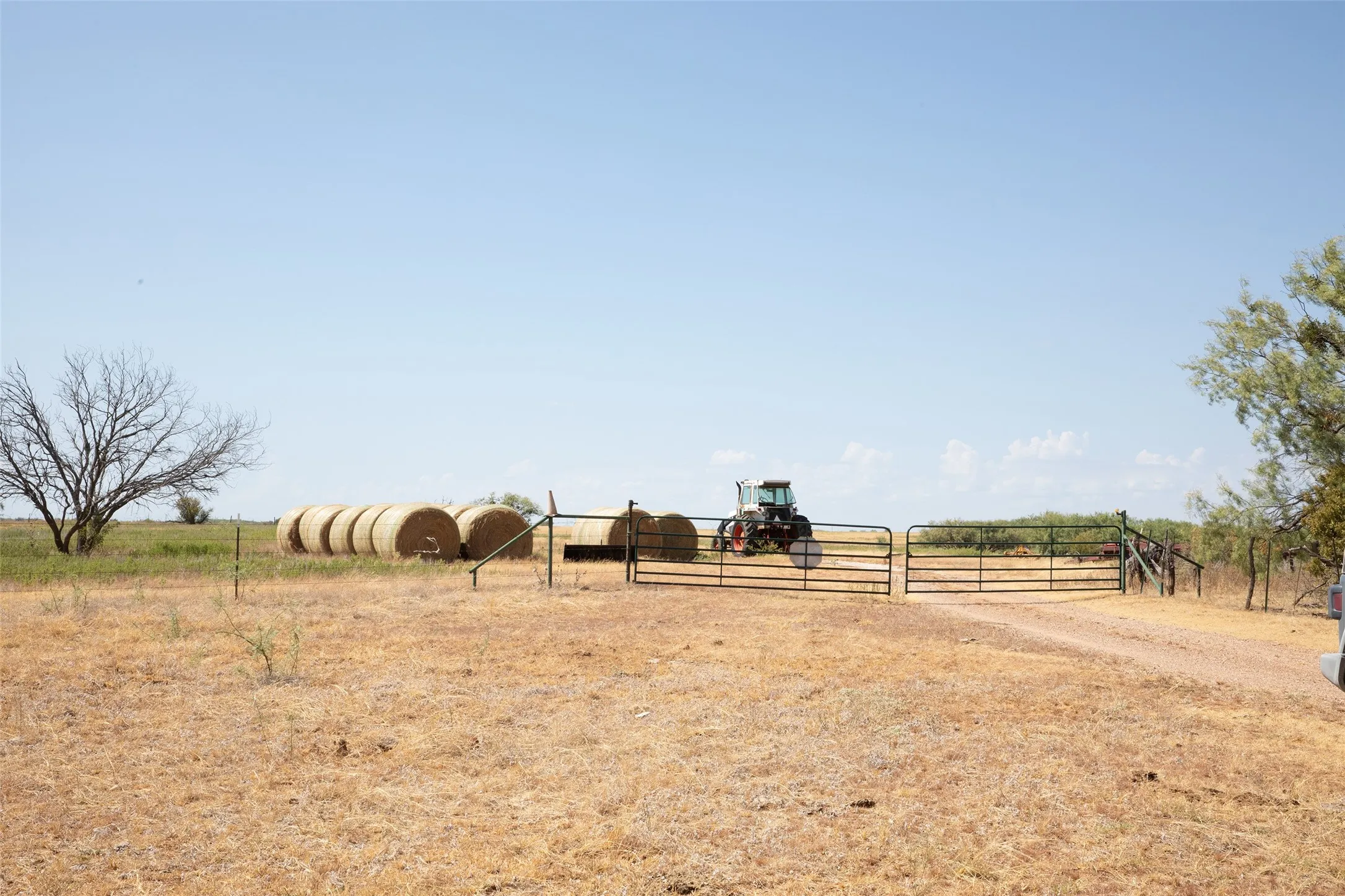 Expansive open land with a metal gate entrance and mature trees