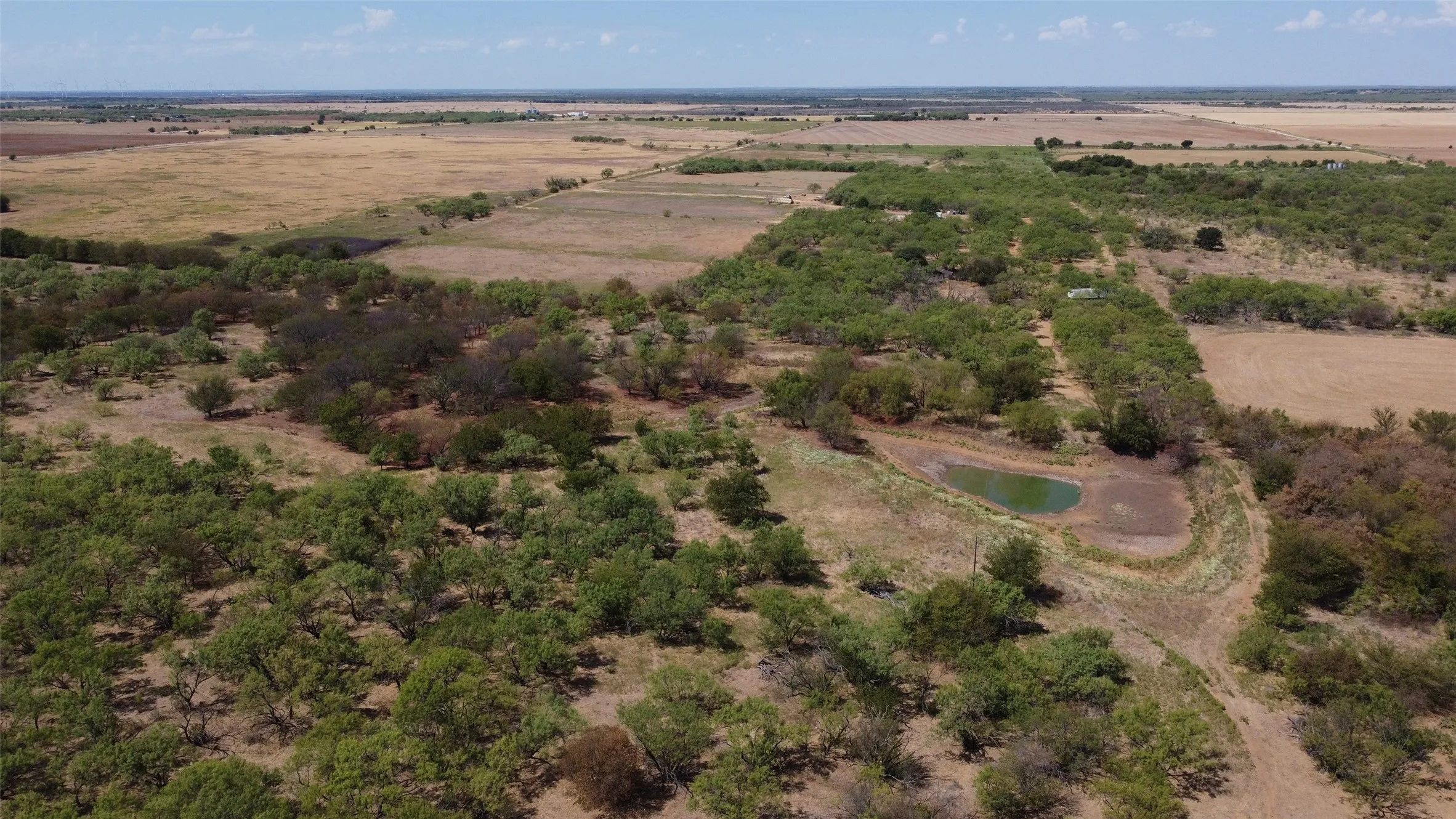 Expansive acreage featuring abundant mature trees, open fields, and the back tank