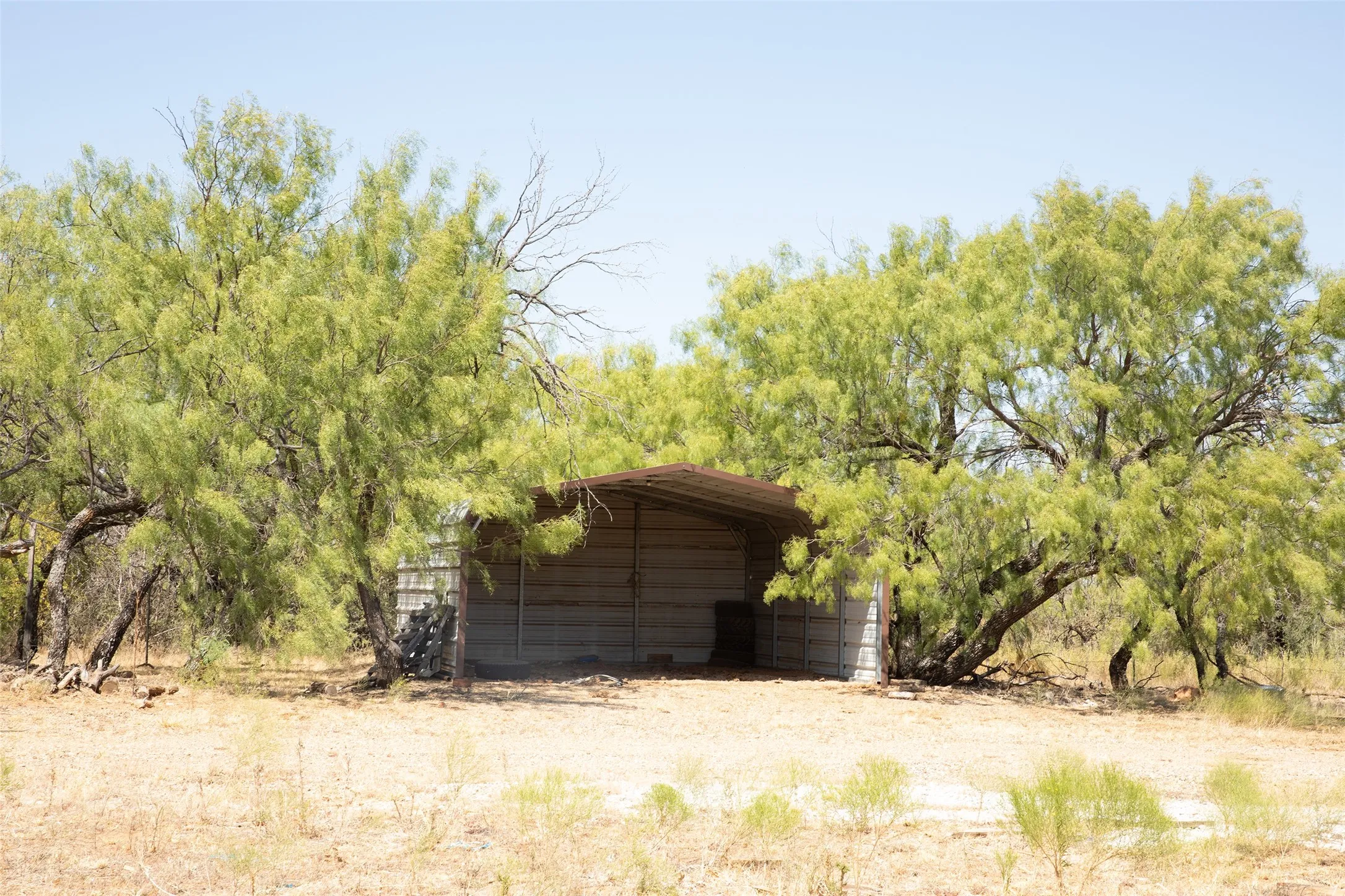 Metal-sided shelter with a sloped roof amidst mature trees