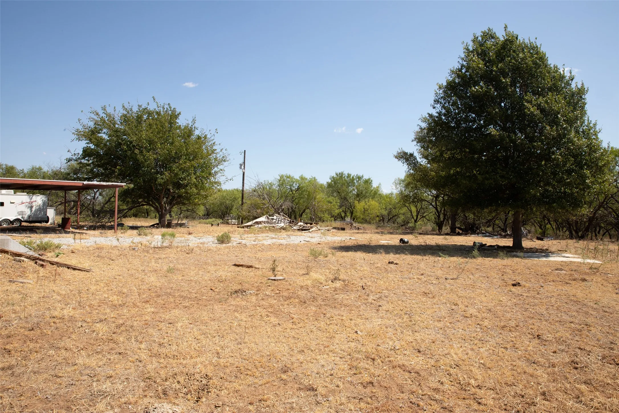 Expansive open lot with mature trees and a covered structure