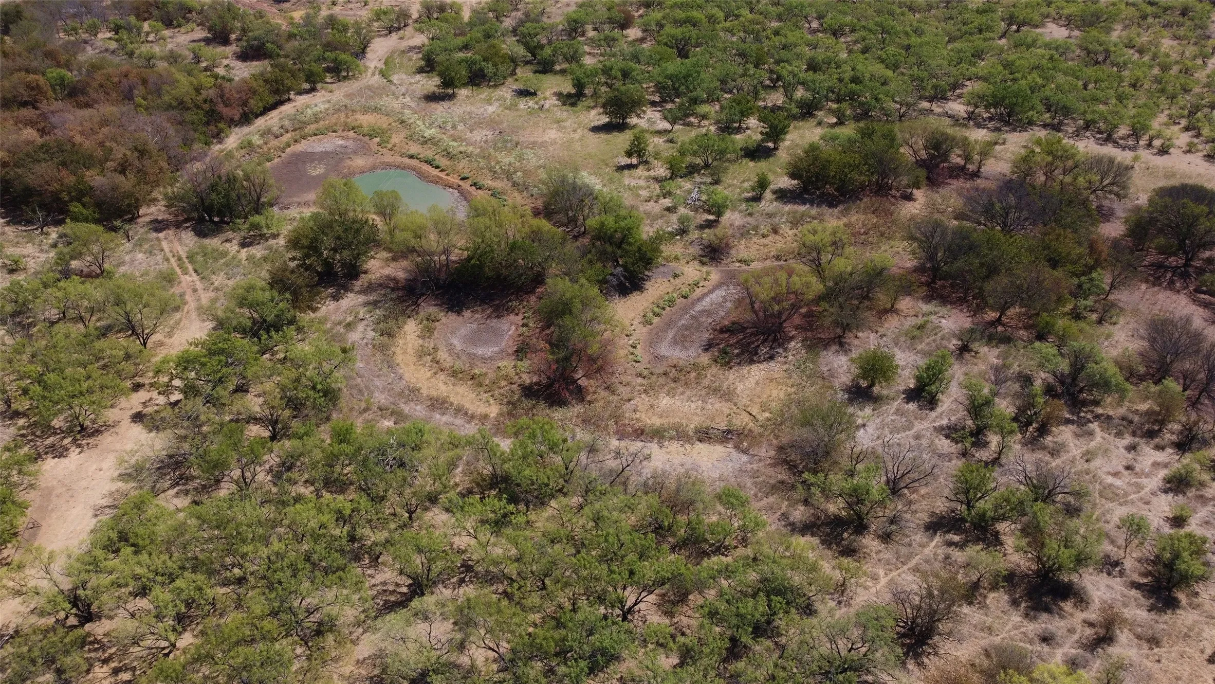 Expansive acreage featuring mature trees, natural terrain, and visible water features